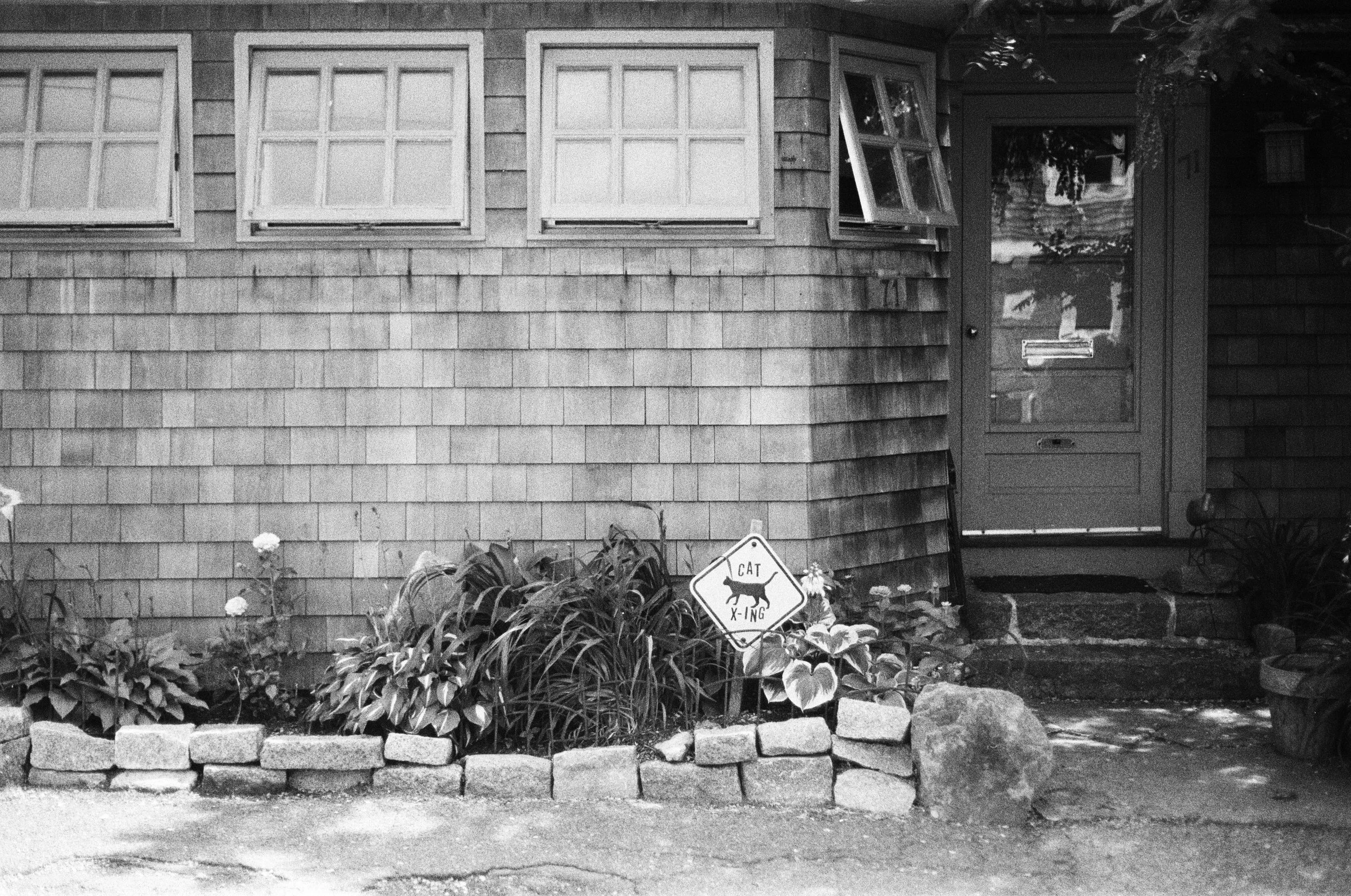 HP5-5.jpg
