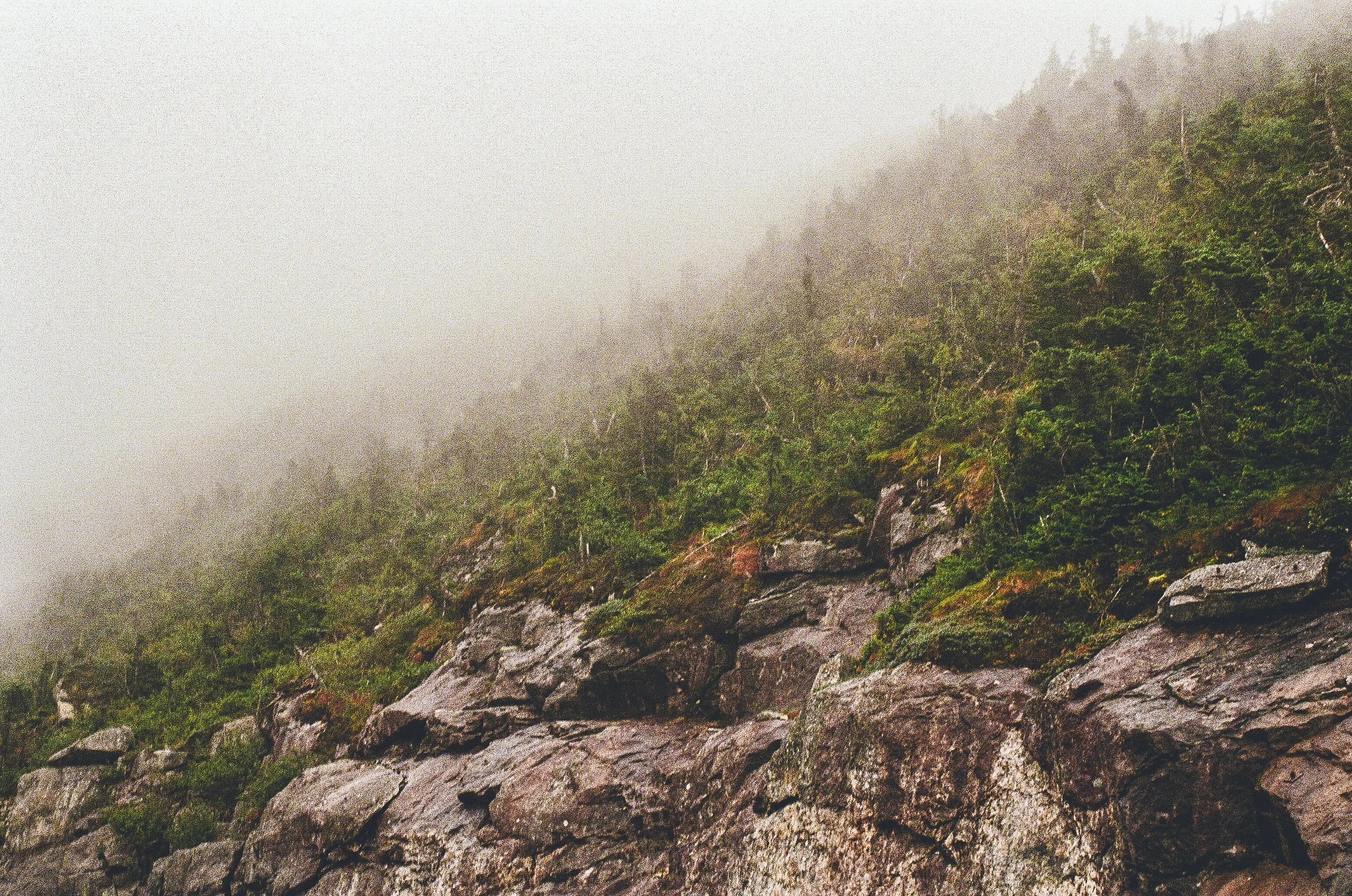 IMG_4382.jpg