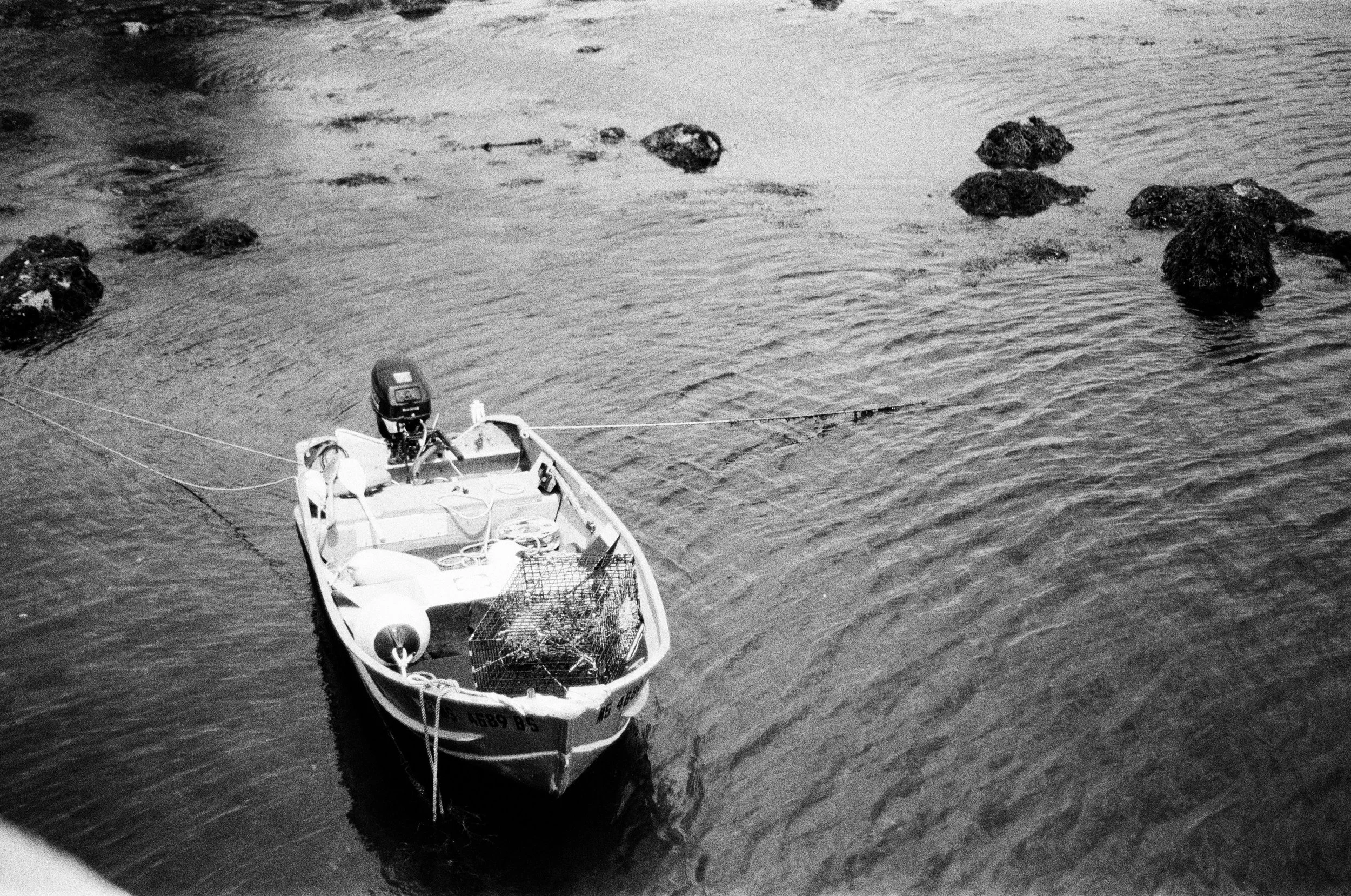 HP5-4.jpg