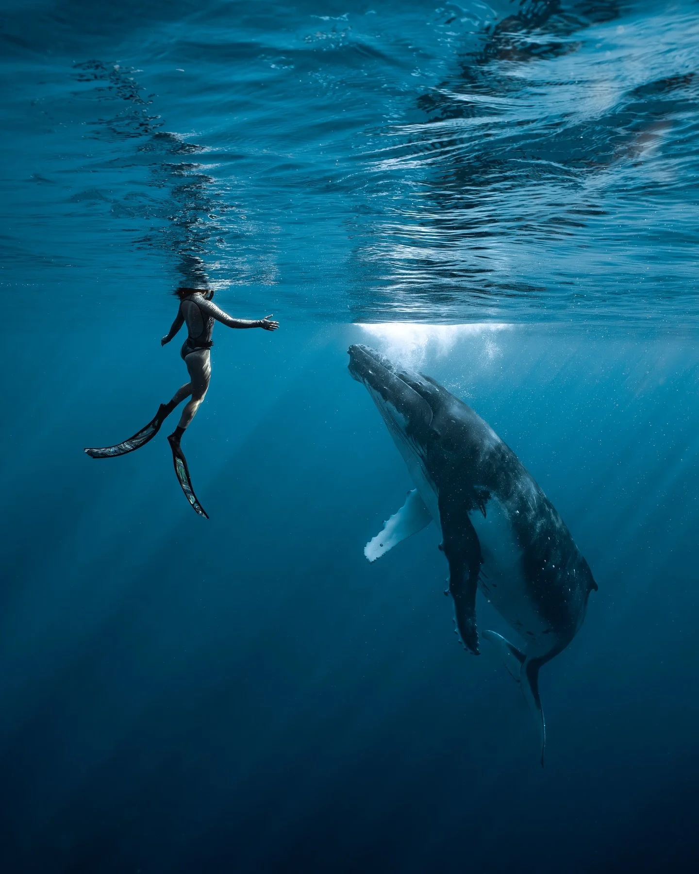 My dear friend Siane and Coco.

Sharing the water with Coco for the first time will always be my most memorable ocean experience. It&rsquo;s been over a year since her passing, and I will forever remember her as the gentle and curious soul she was. 
