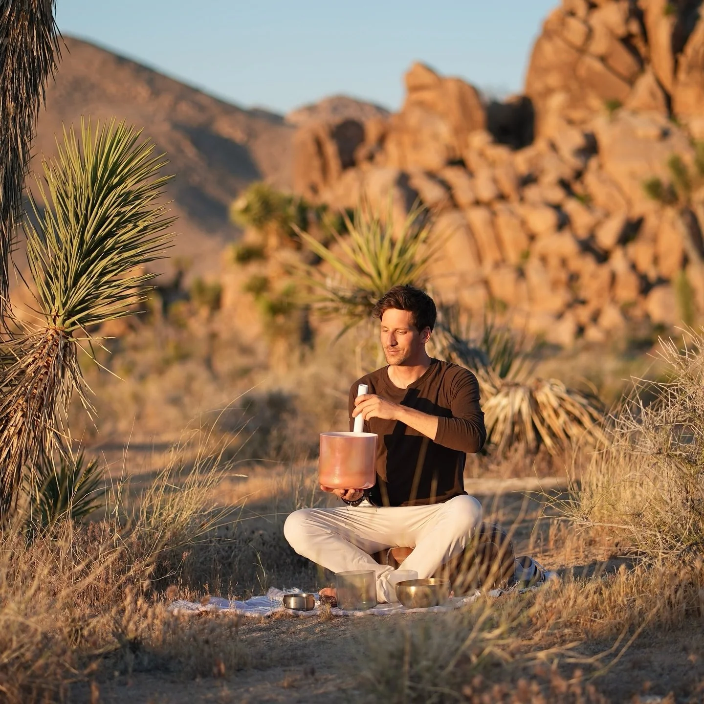 I love Joshua Tree! 🌵🏜️There is this peaceful energy that I try to capture and share forward in my sound healing sessions. #joshuatree #soundbath #nationalpark