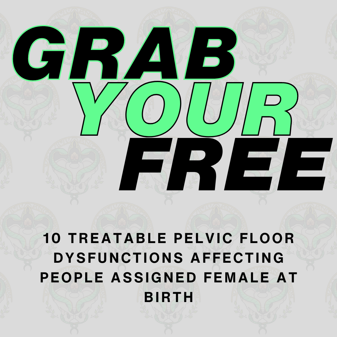 10 Treatable Pelvic Floor Dysfunctions Affecting people Assigned Female at Birth