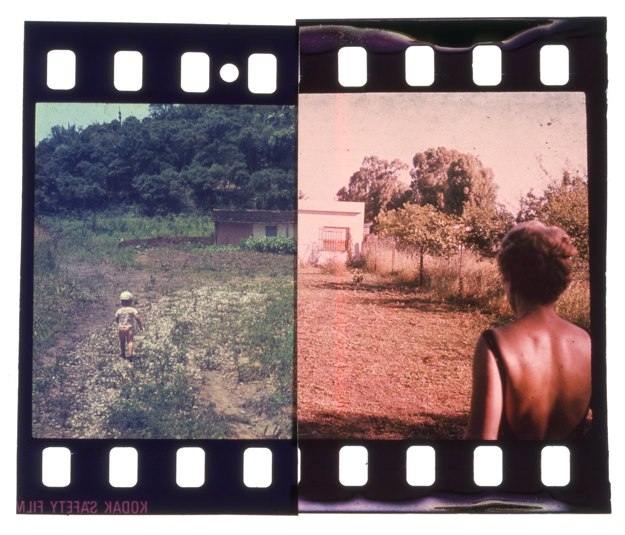 Meet you at home / Bosque Gracias