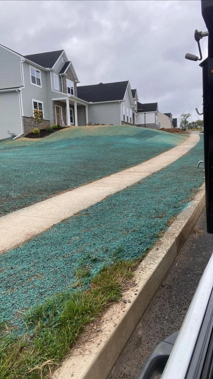 00625ec4-0832-4320-9d3b-03c22245be46 (1).jpg