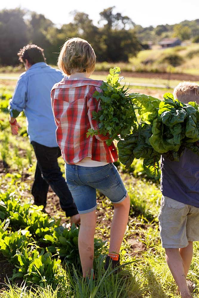 From 'Eat Local: Food, Farming and Conversation in the Scenic Rim, Volume 2', 2018
