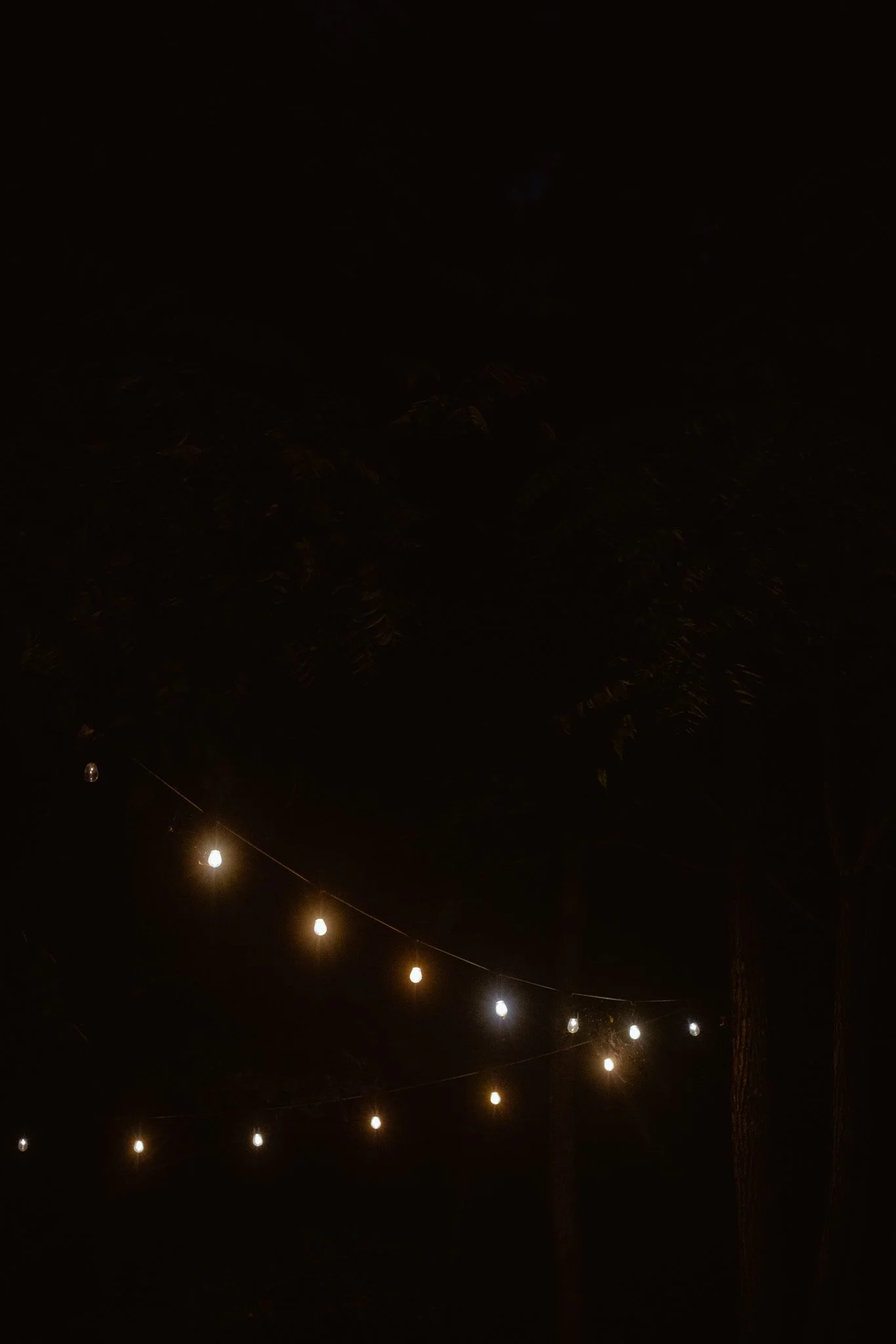 E63A6610.jpg