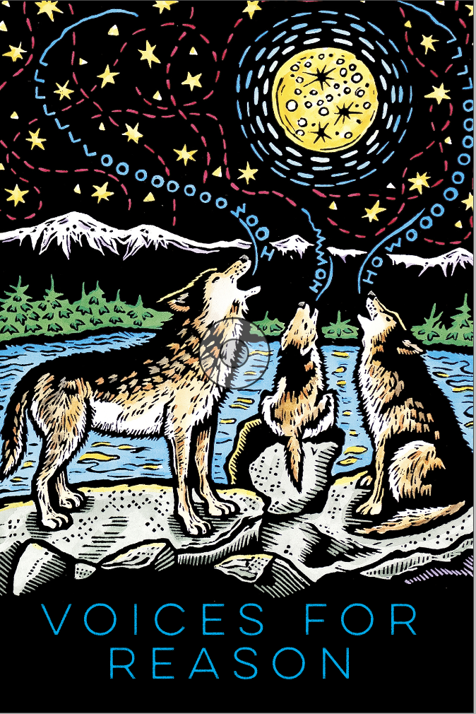 50 postcards