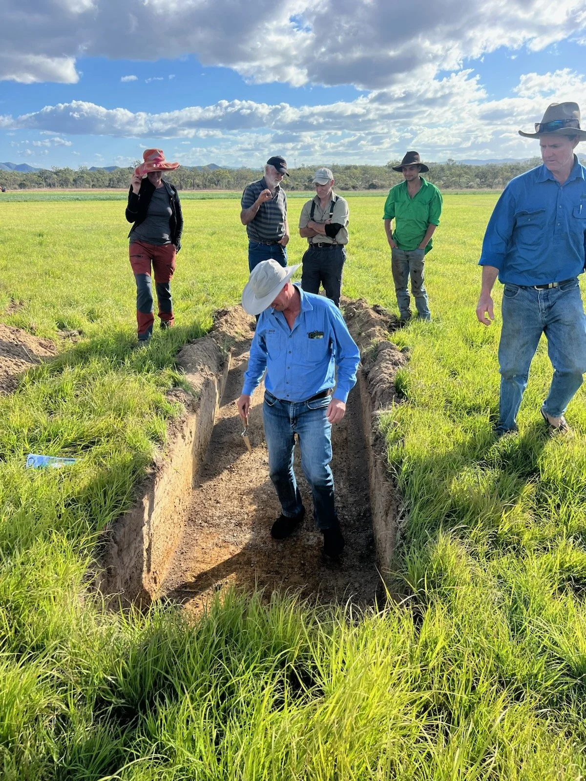 Inspecting the Soil Pit