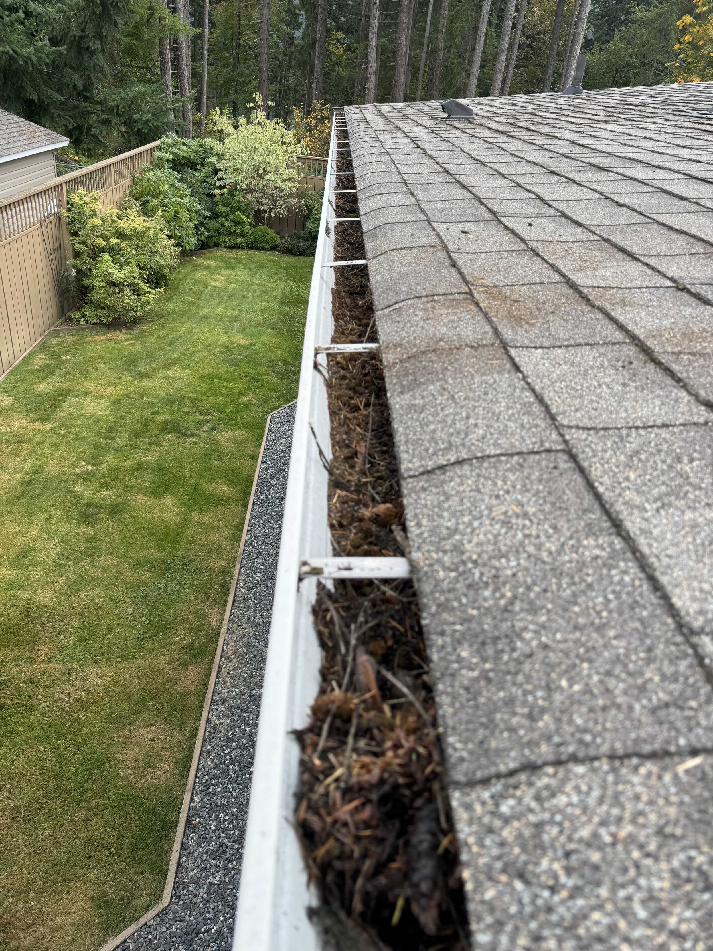 Keep Your Gutters Flowing: Why Gutter Cleaning Is Essential