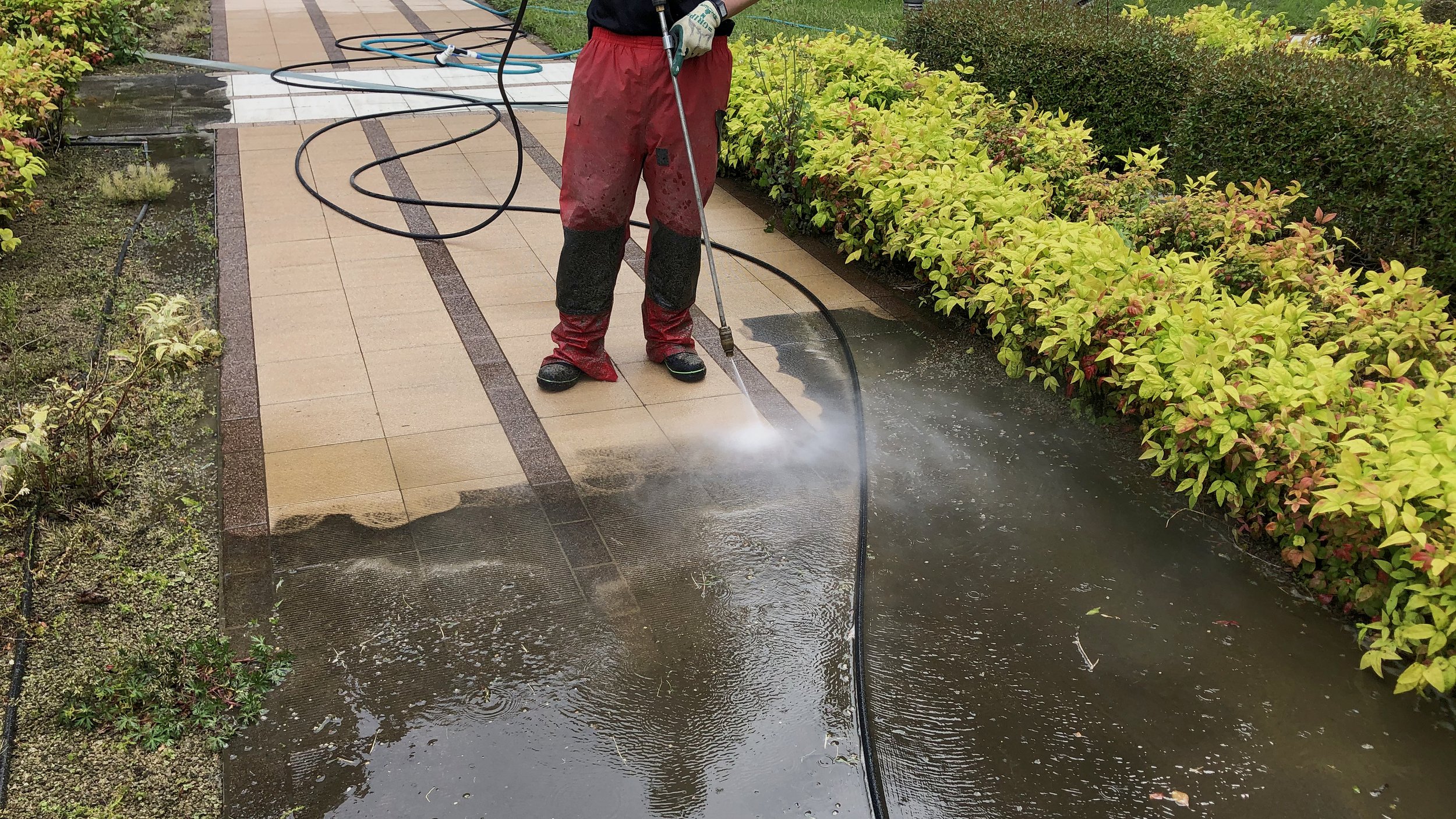 Pressure Washing Services in Nanaimo, BC: Restore Your Property's Beauty