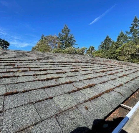 The before-and-after image showcases the impact of JBM Custom Contracting's roof cleaning service. The left side depicts a roof covered in moss and dirt, while the right side reveals a clean, restored roof, free of debris. The transformation highligh