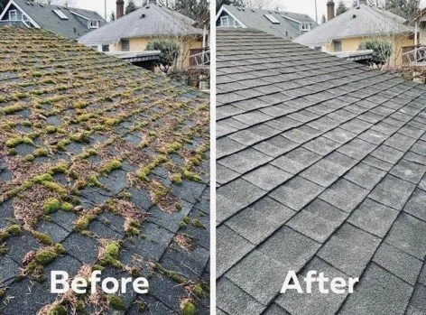 Comparison of a roof before and after cleaning, showing moss and dirt removal.