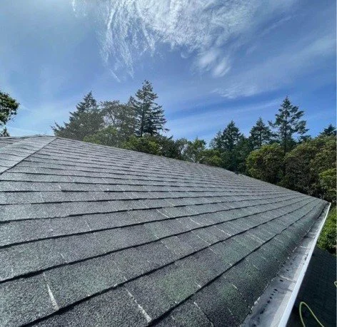 The before-and-after image showcases the impact of JBM Custom Contracting's roof cleaning service. The left side depicts a roof covered in moss and dirt, while the right side reveals a clean, restored roof, free of debris. The transformation highligh