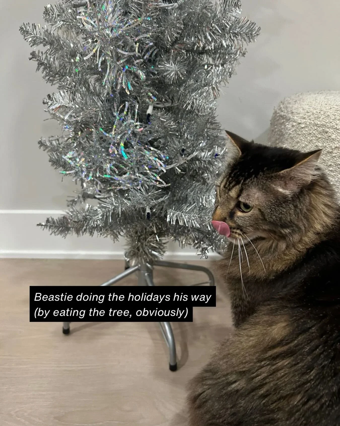 Y&rsquo;all, how is Thanksgiving already next week? And more importantly&hellip; Sagittarius season is here tomorrow!!

Beastie&rsquo;s doing the holidays his way (by eating the tree, obviously).
You get to do it your way, too!

What if the holidays 