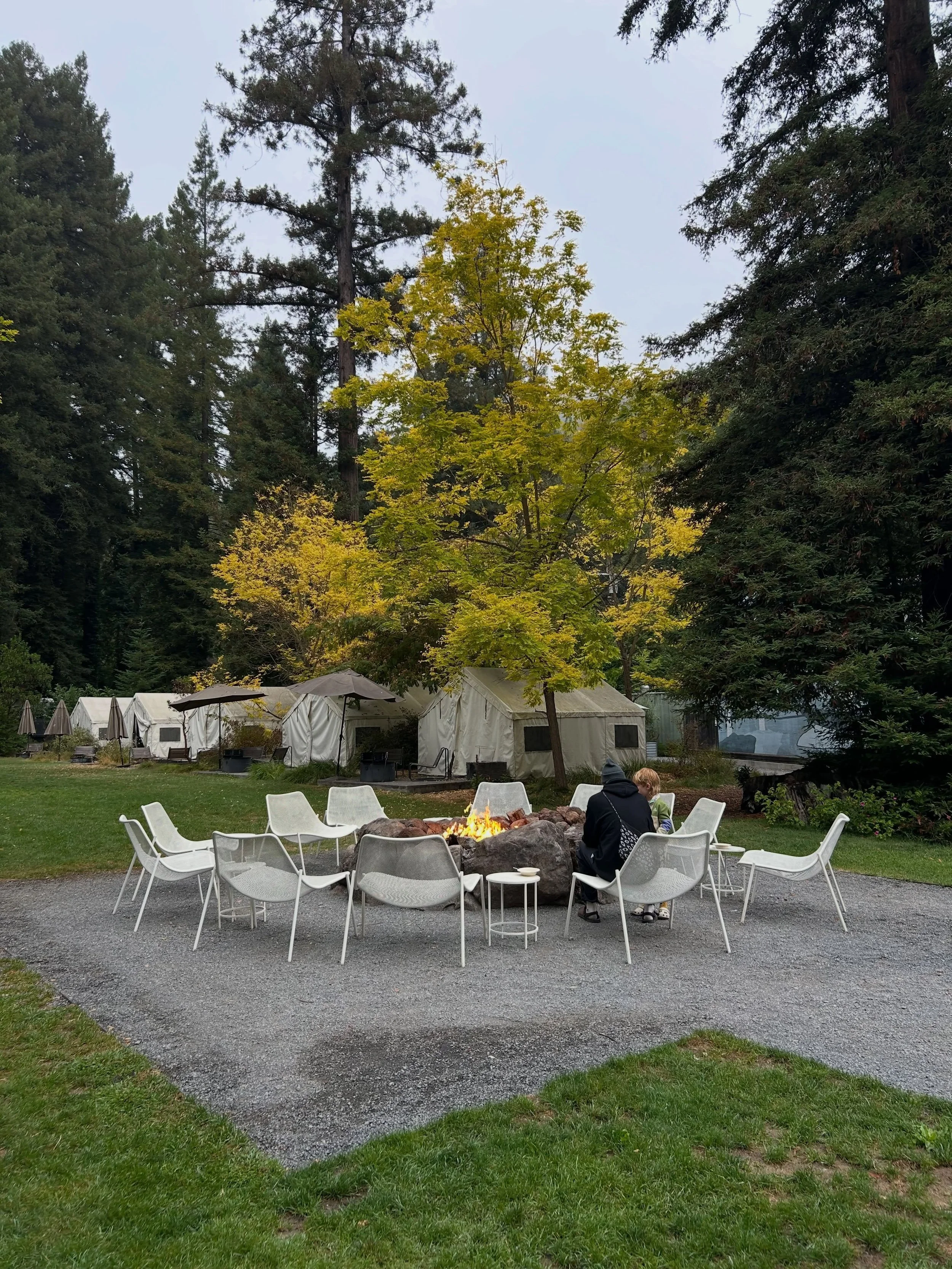 West coast road trip photo dump 1/3: From Sonoma to San Fran to Sequoia!

Morning campfire in Guerneville, CA
San Fran Bay ferry ride
Putt Putt, of course
Cousins
Exploratorium
Sequoia National Park road side views
Campsite views in Three Rivers, CA
