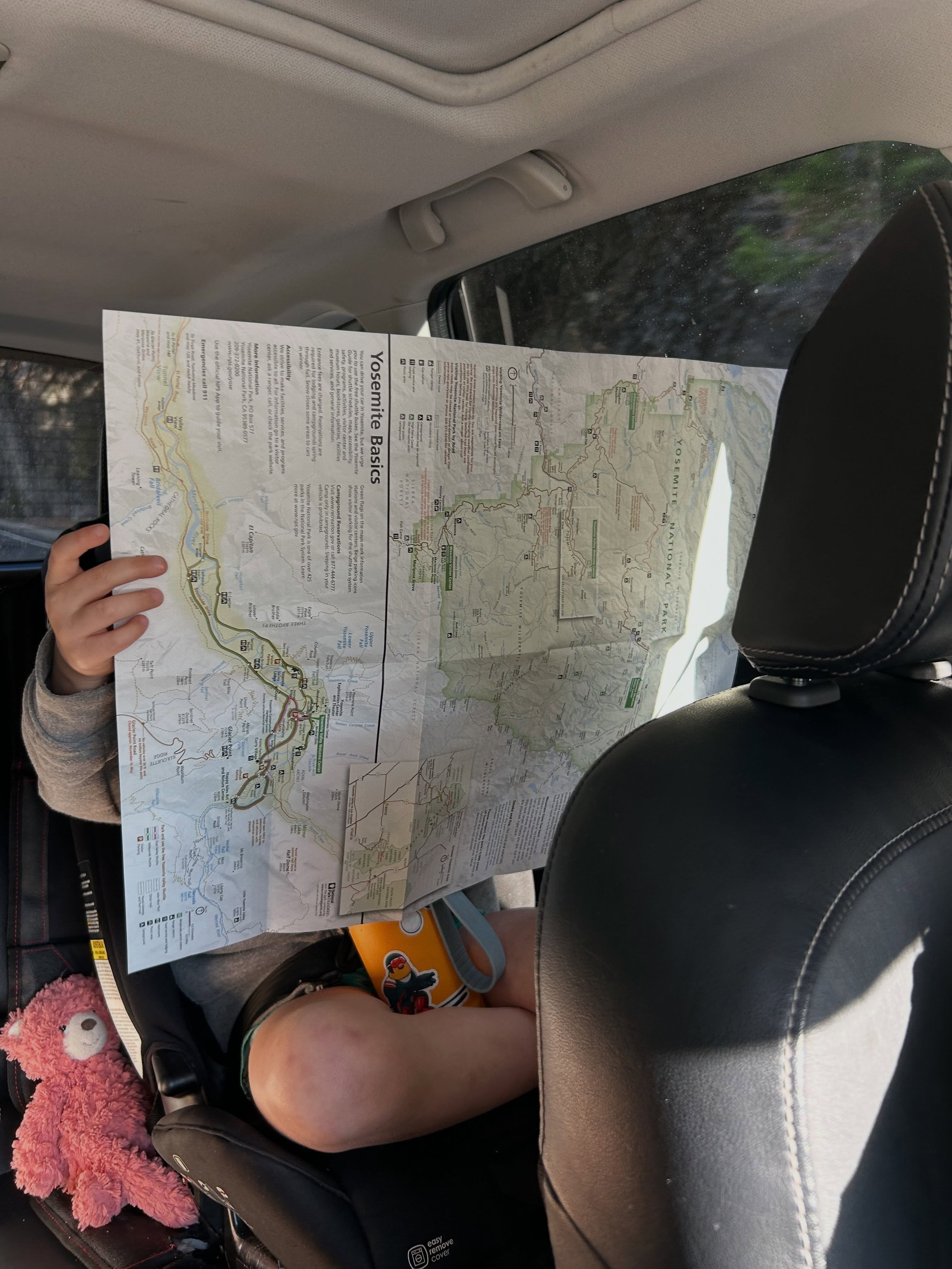 West coast road trip photo dump 2/3: From Yosemite to Tahoe to Lassen Volcanic National Park!

💛💛💛