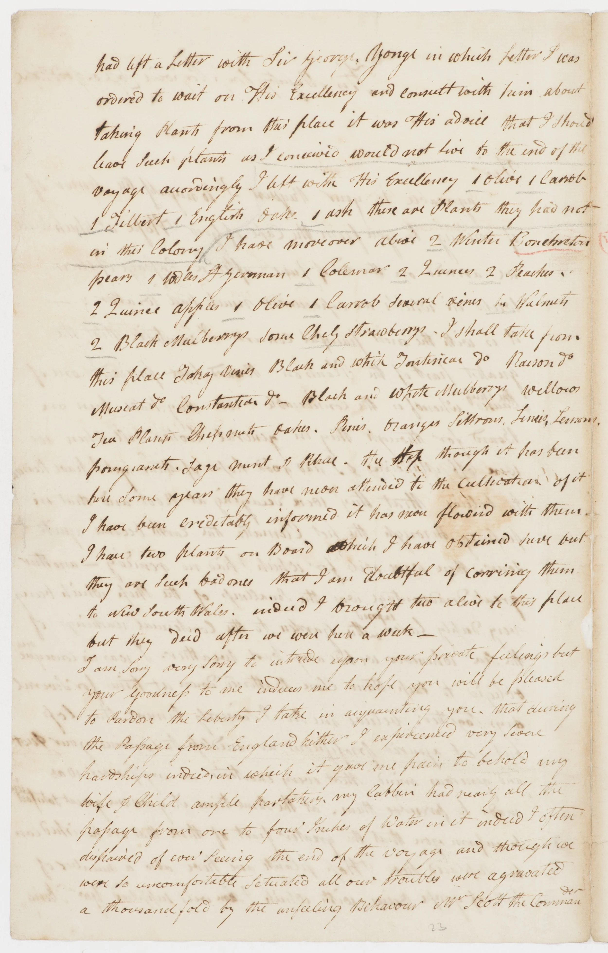 SLNSW_FL3223960.jpg