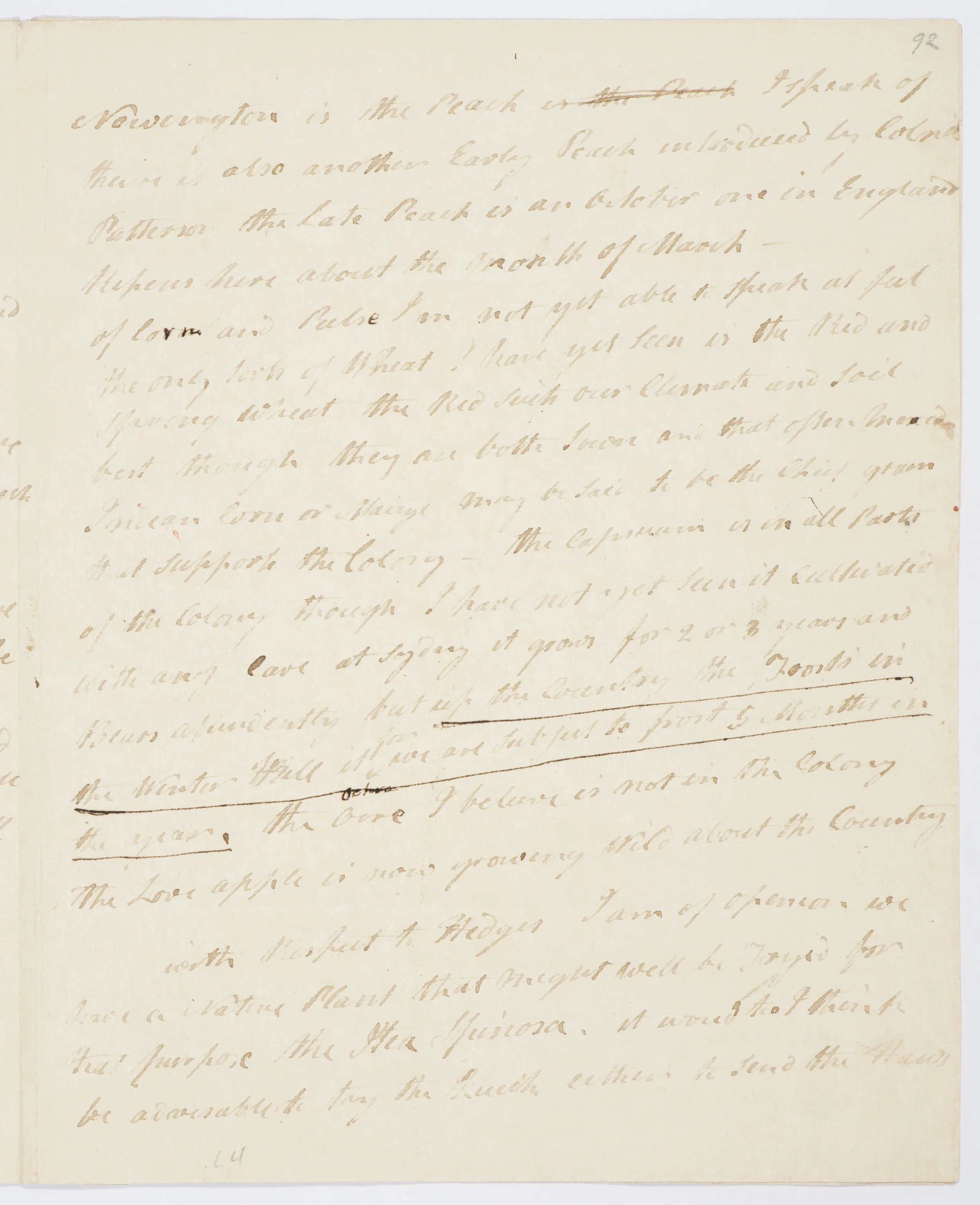 SLNSW_FL3134148.jpg