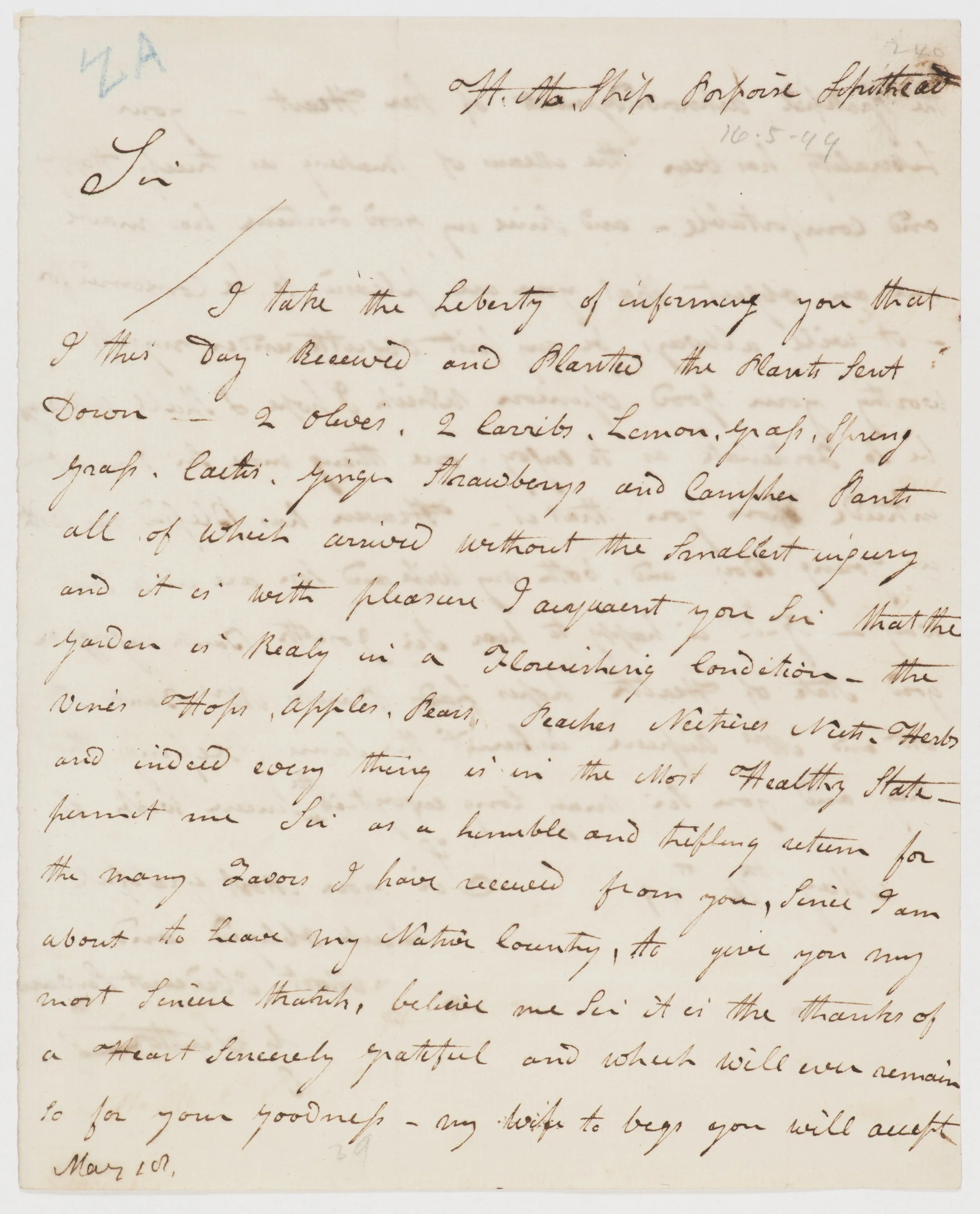 Letter recieved by Banks from George Suttor - 16th May, 1799