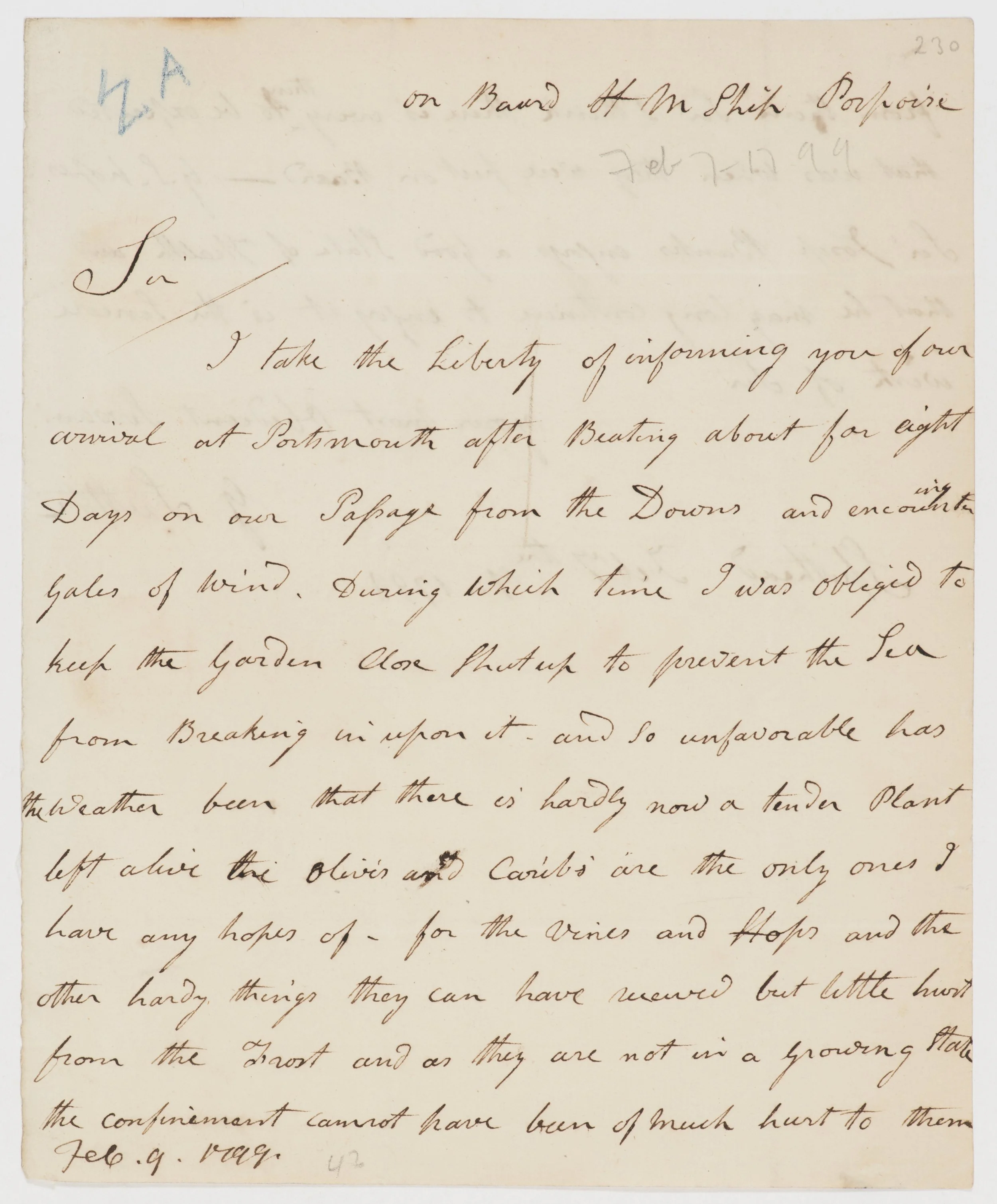 Letter recieved by Banks from George Suttor - 7th February, 1799
