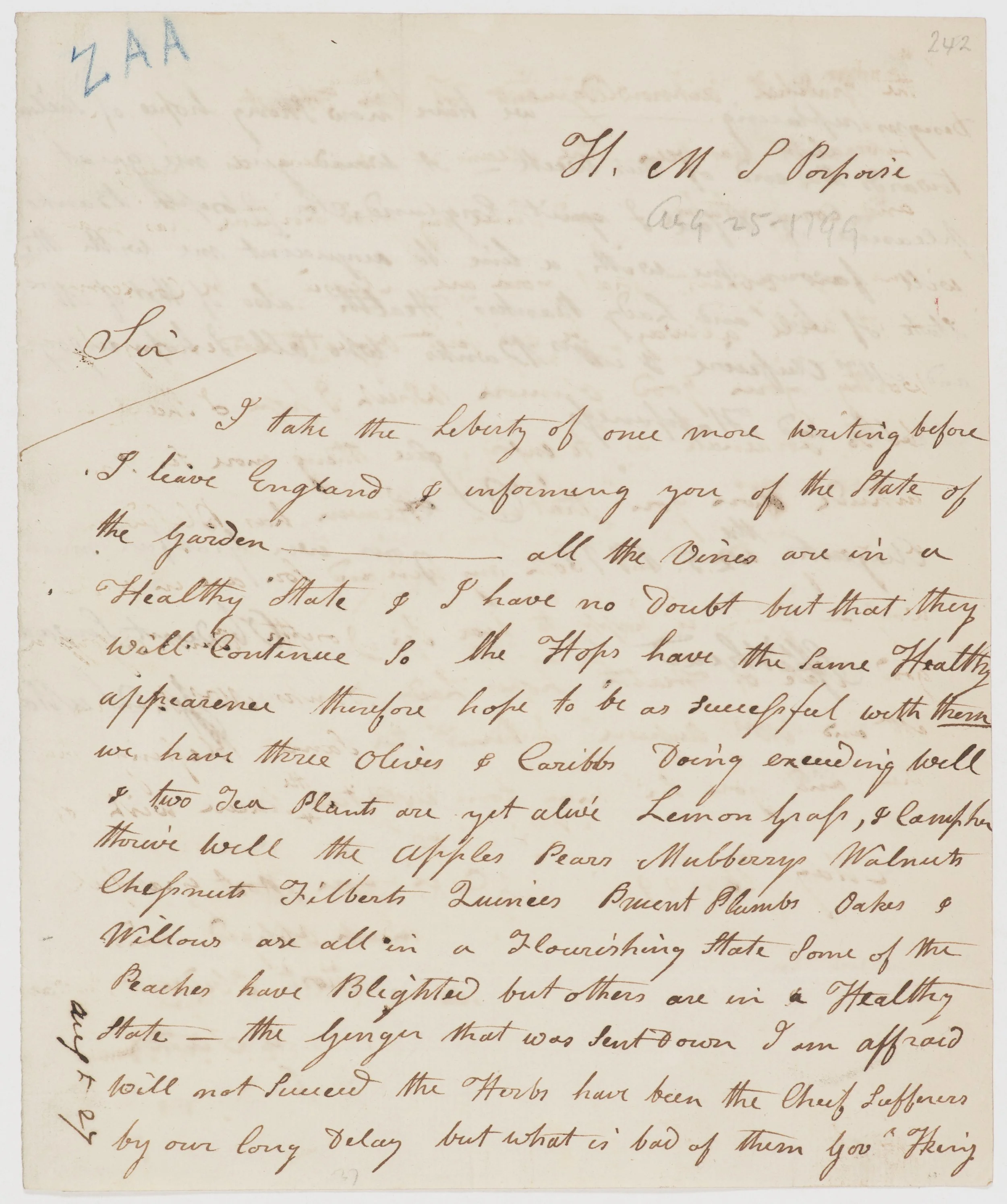 Letter recieved by Banks from George Suttor - 25th August, 1799