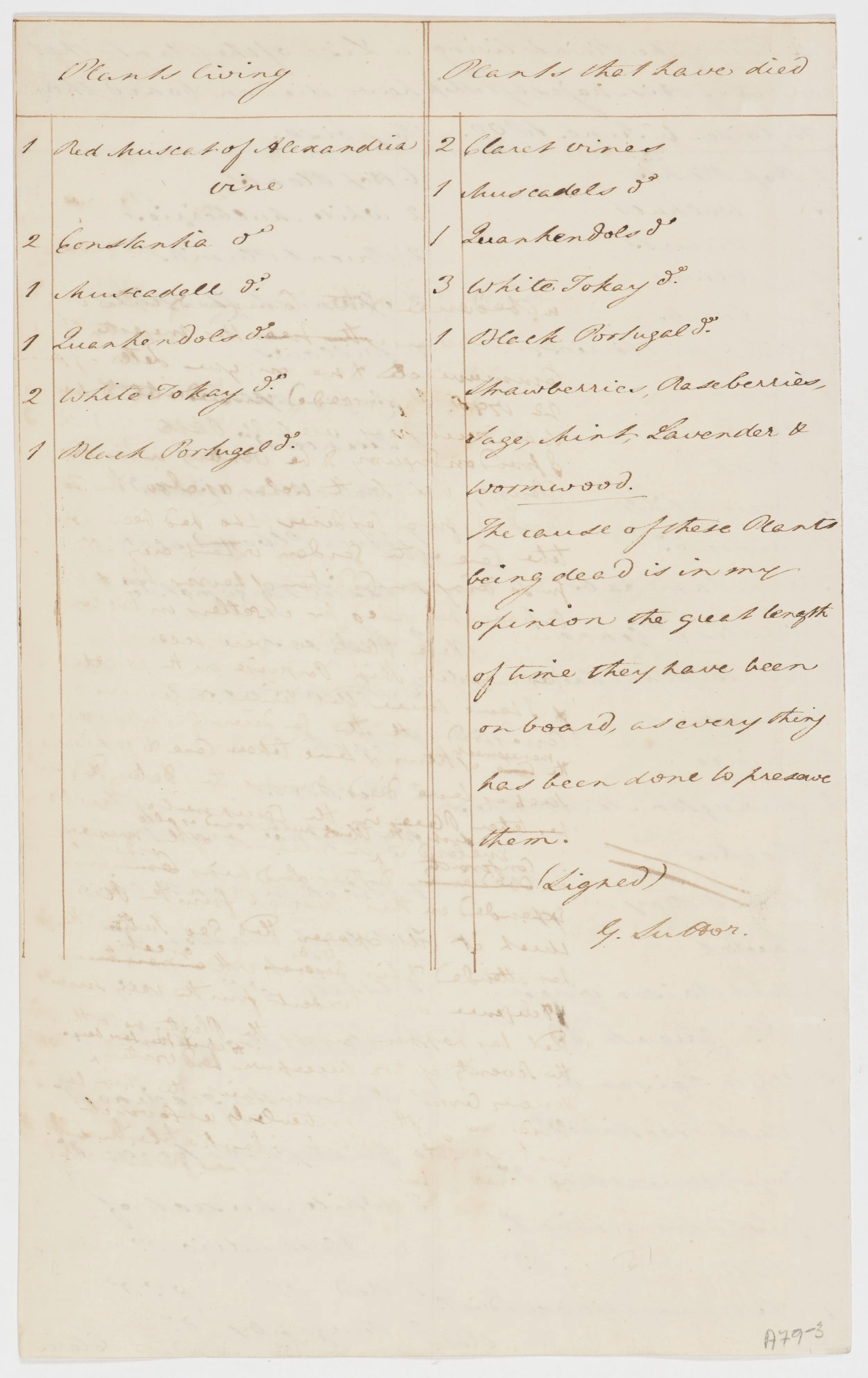SLNSW_FL3223508.jpg