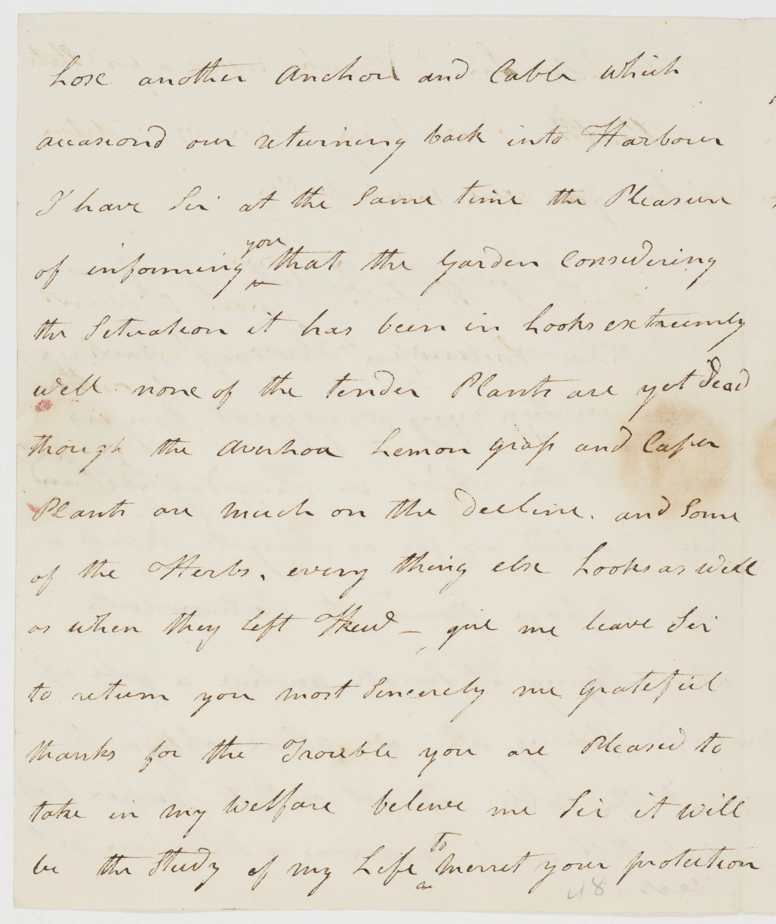SLNSW_FL3223738.jpg
