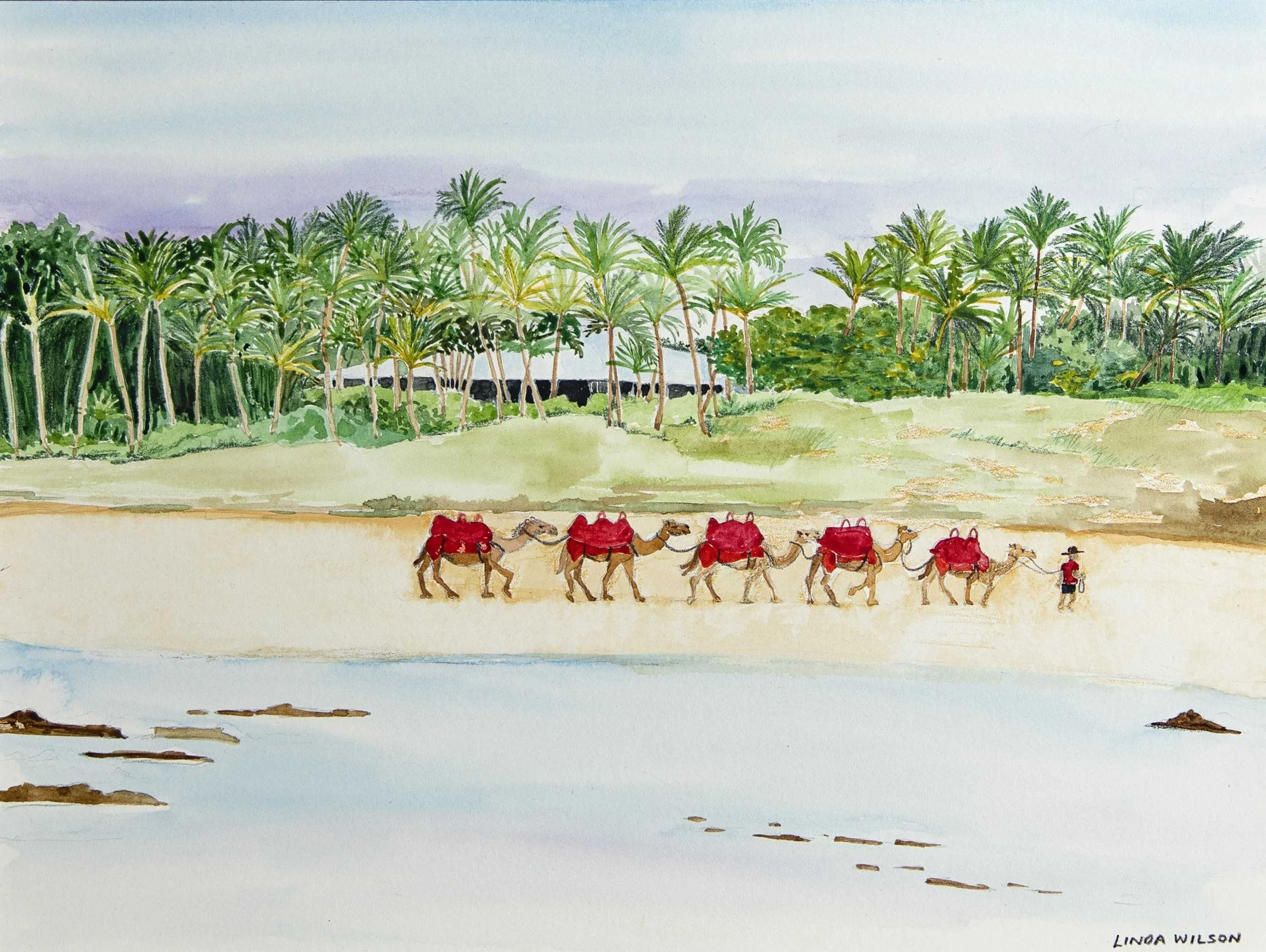 ResizedCableBeachCamels_K2_0282.jpg
