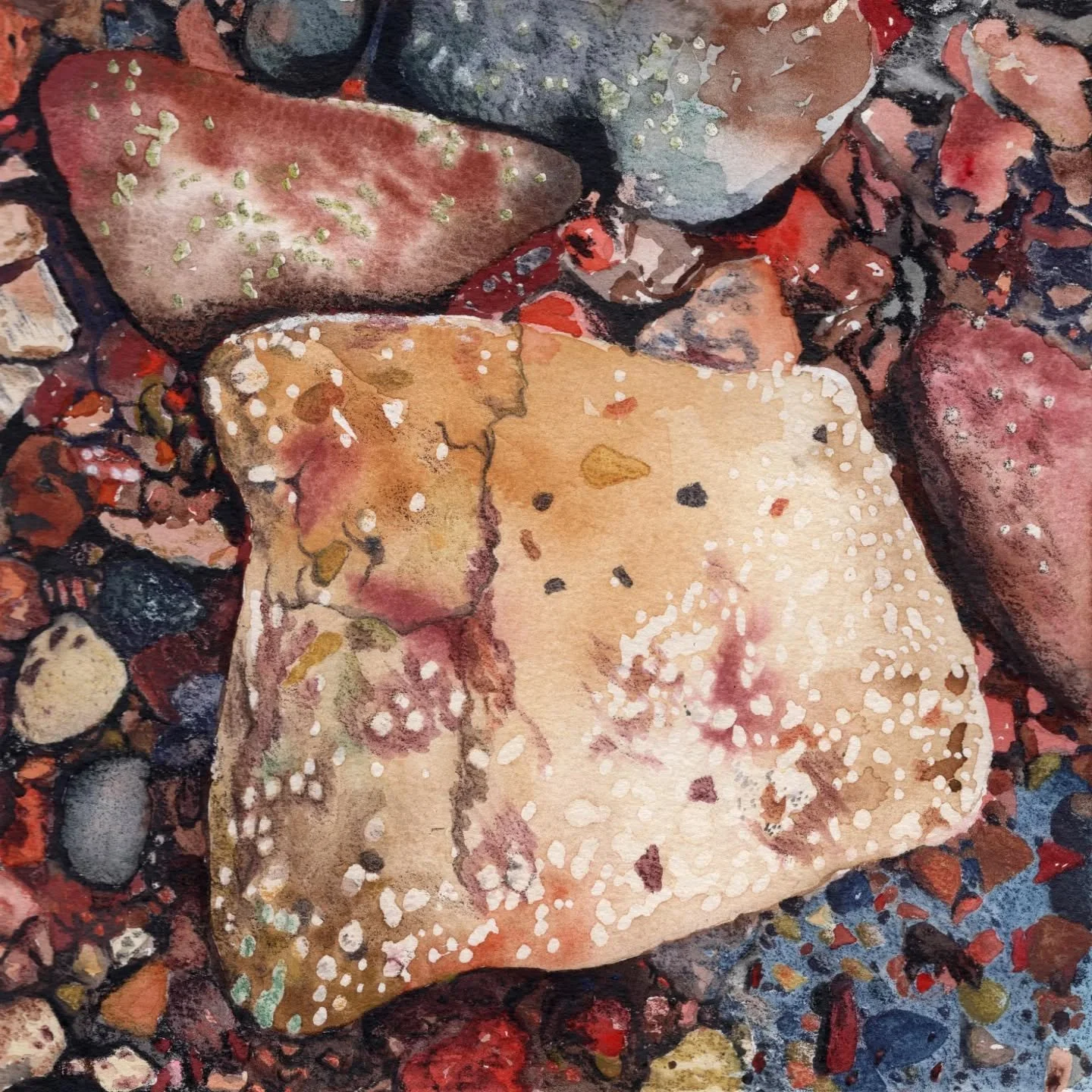 Rocks at Derby Wharf. Watercolour and Inktense pencils on paper. 18cm x 18 cm.

At first glance the Derby wharf area can appear a bit monotone, but there's colour in the rocks near the shoreline if you look closely. 

#derbywesternaustralia #derbywha