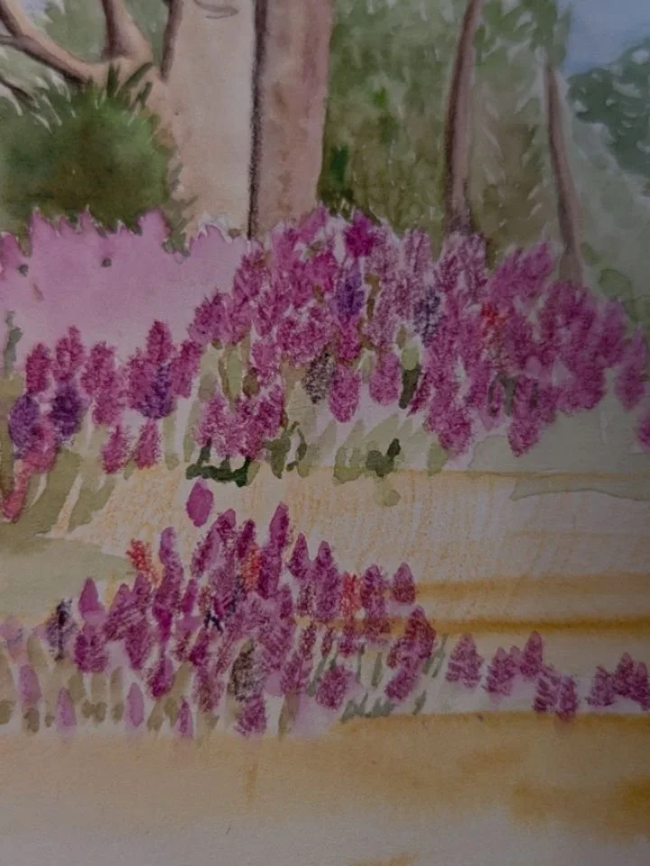 These wildflowers blooming back a few months ago were just gorgeous out at Myles Bore near Derby. 
This artwork was one I started before Christmas using watercolour and Inktense pencils. 
💜💜💜

#mullamulla #kimberleyaustralia