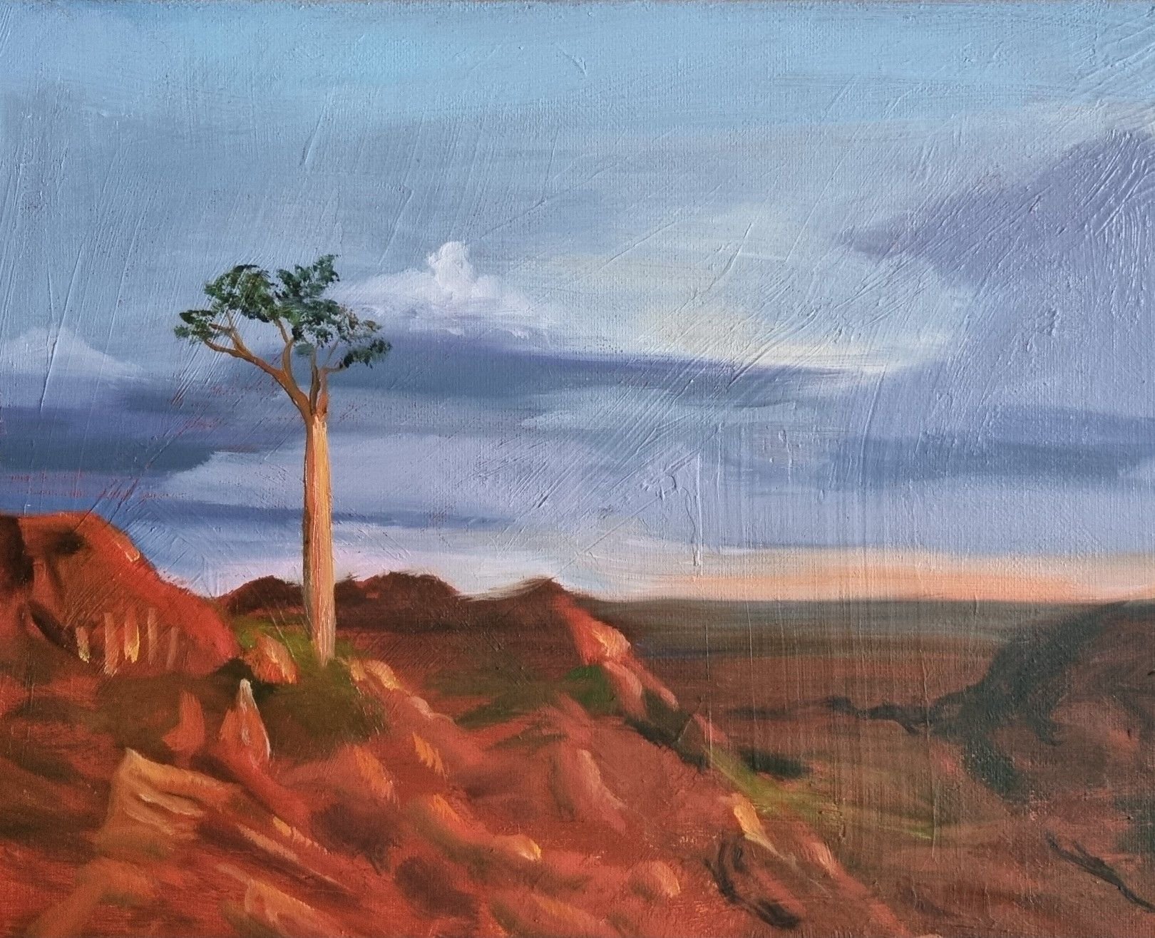 Lonely Boab - Oil on Board - 30cm x 25cm - Private collection.