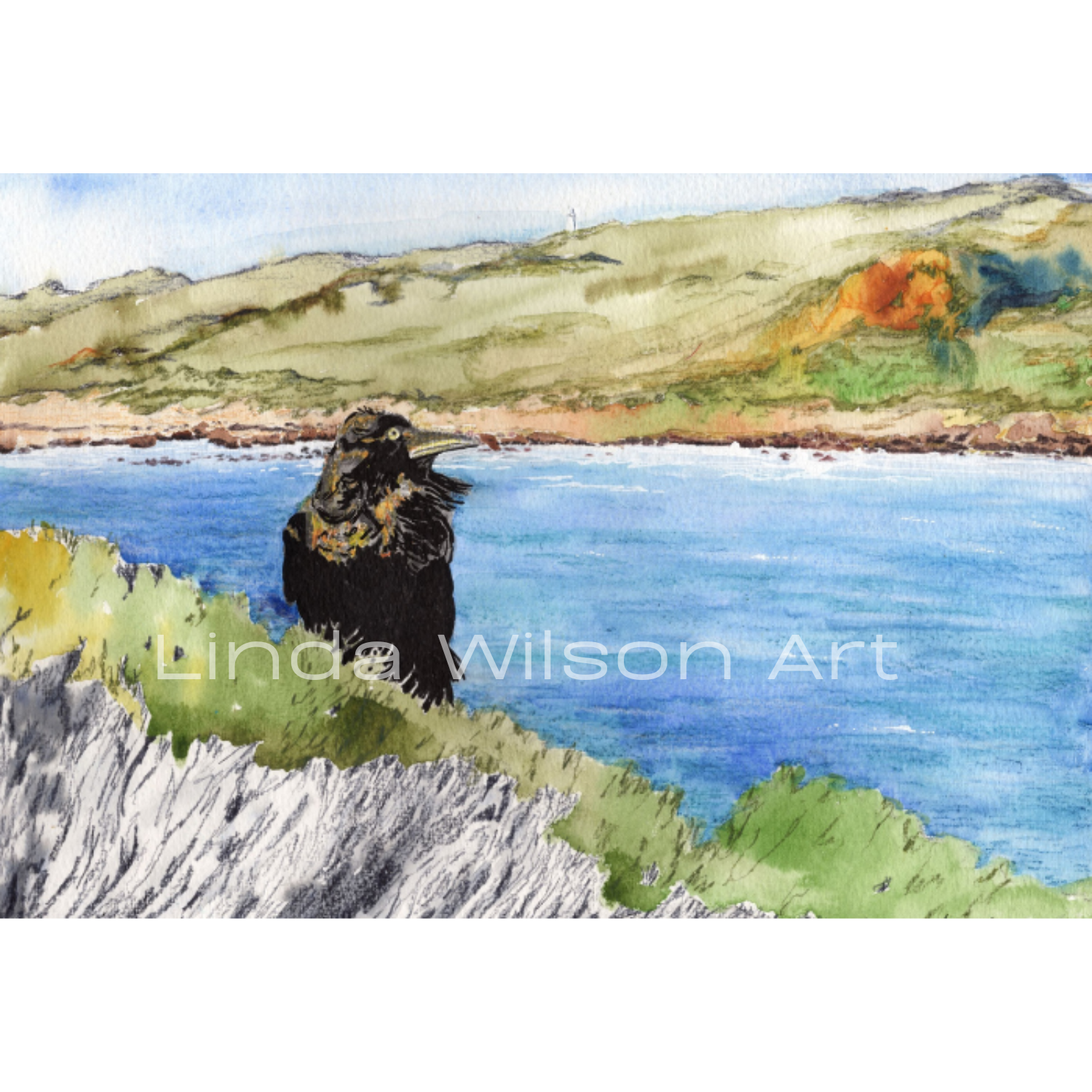 ‘Crow at Sugarloaf’ - Watercolour & Inktense Pencil - 30cm x 21cm - Click to purchase.