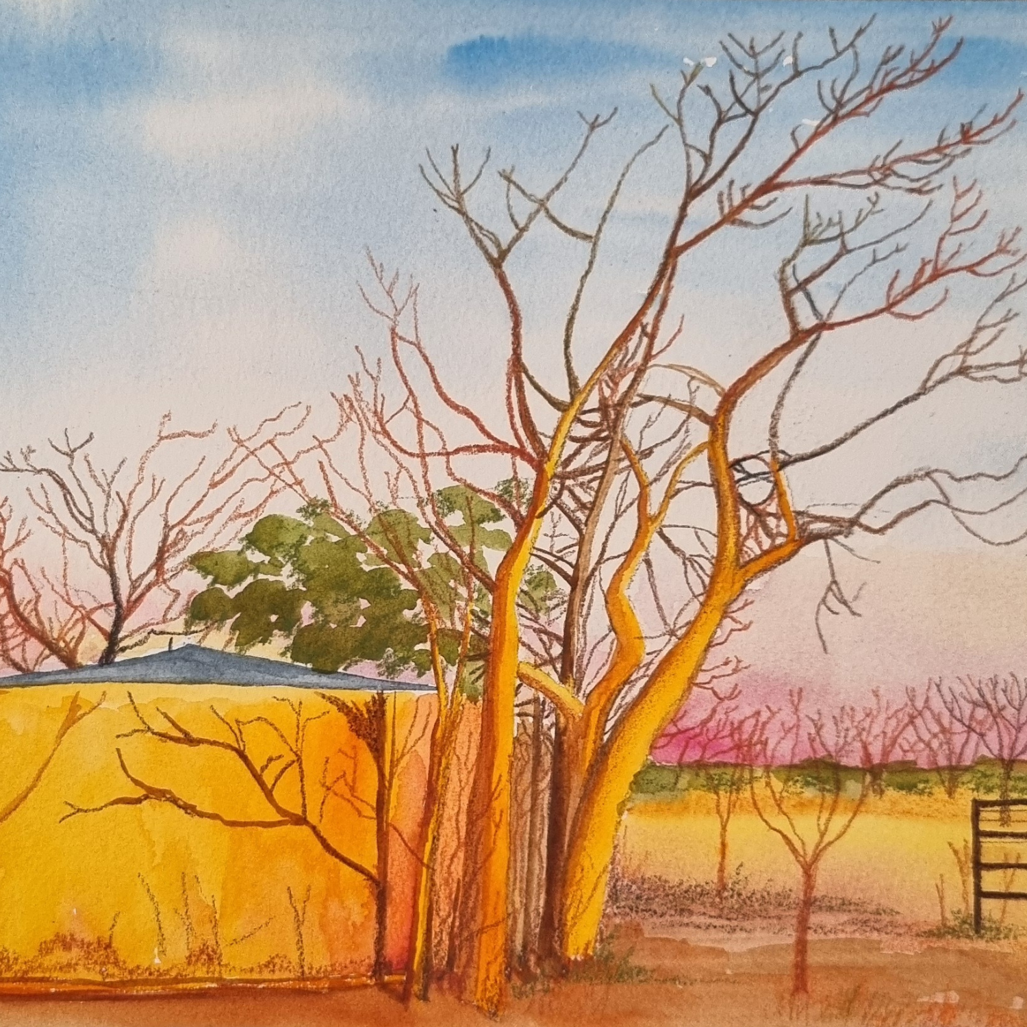 ‘Golden Glow at Cattleyards’ - Watercolour & Inktense Pencils on Paper (Commissioned).