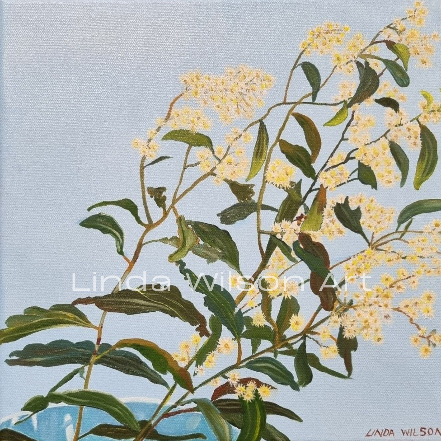 Acacia Mimula Still Life Original Oil Painting (SOLD)
