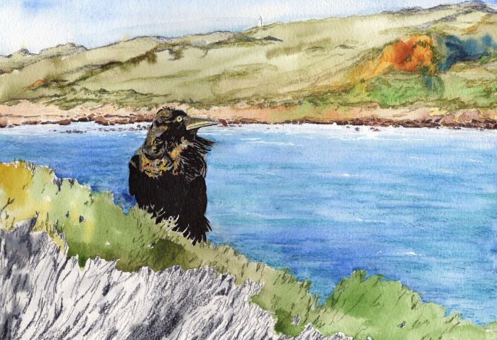 ‘Crow at Sugarloaf’ - Watercolour & Inktense Pencil - 30cm x 21cm - Click image to purchase.