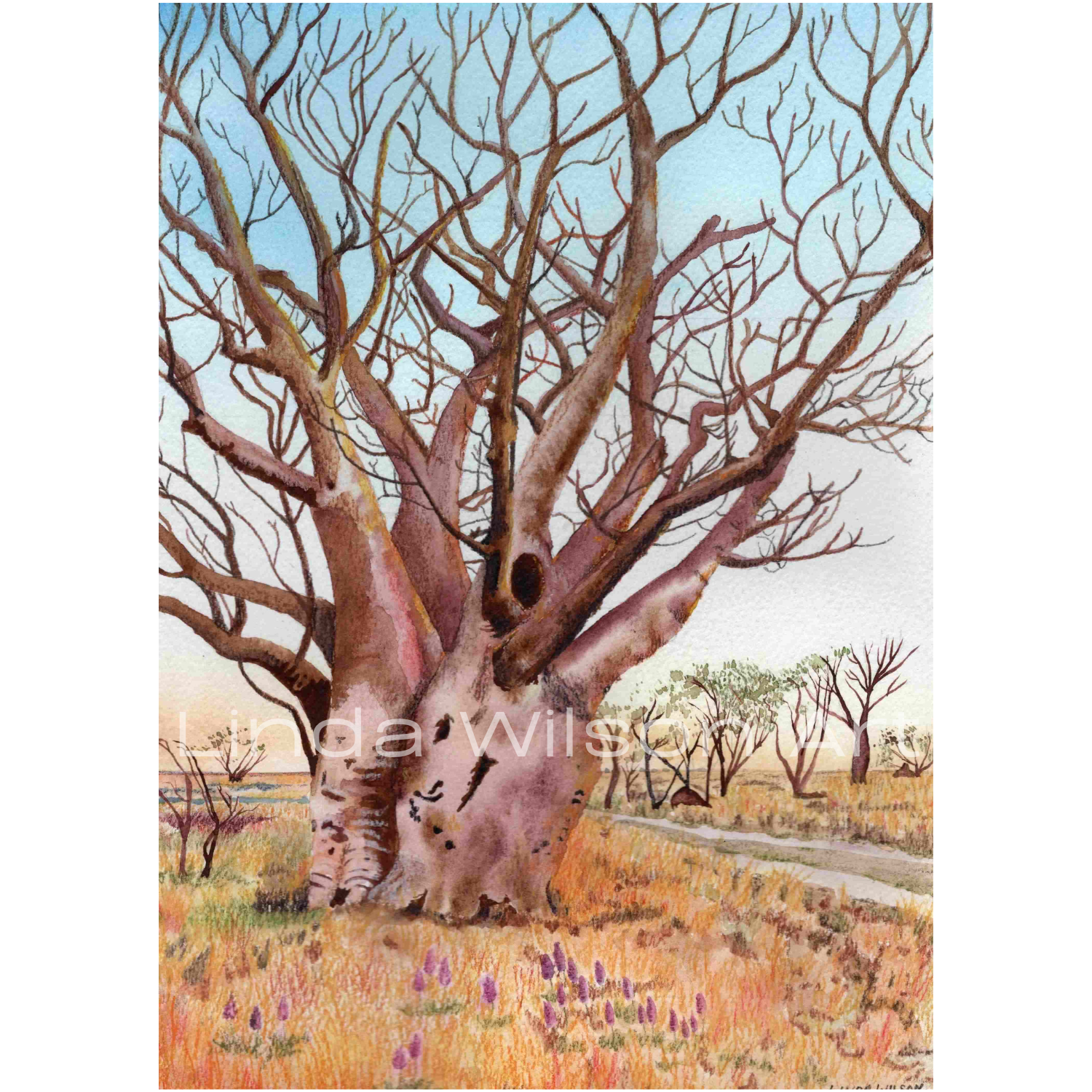 Boab on a Kimberley Backtrack - Watercolour & Pencil - A4 - Commissioned