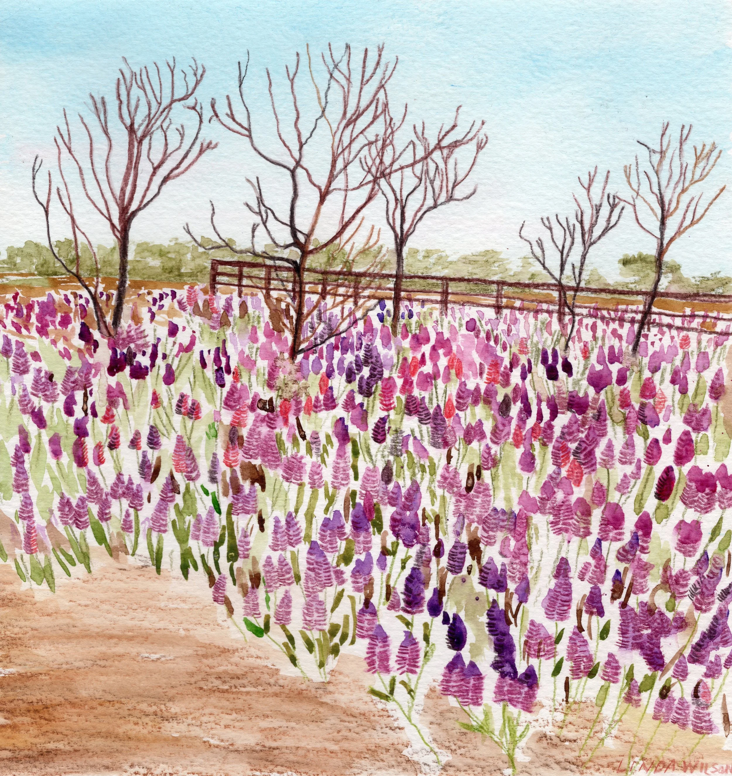 Mulla Mulla Wildflowers at Myles Bore - Watercolour & Inktense Pencils on Paper - Original Art