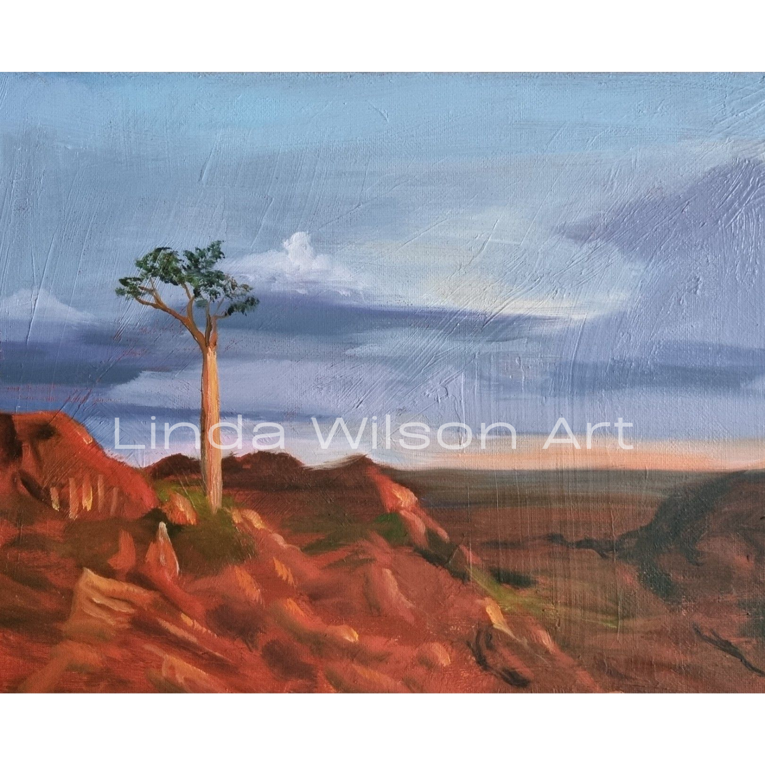 Lonely Boab - Oil on Board - 30cm x 25cm - Private collection.