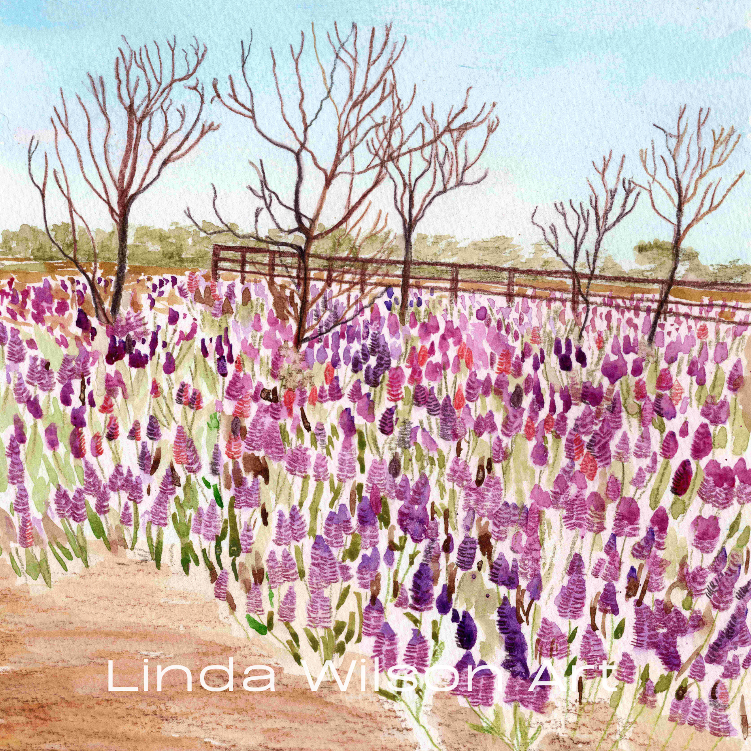 Mulla Mulla Wildflowers at Myles Bore - Watercolour & Inktense Pencils on Paper - Original Art