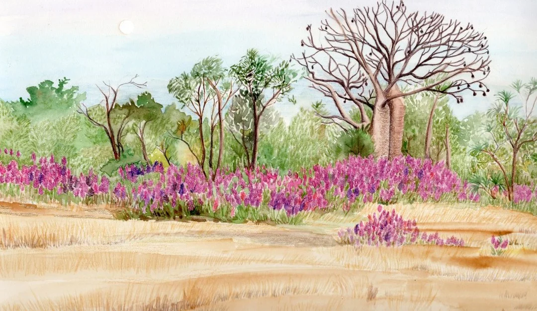 Mulla Mulla Boab Watercolour A4 (Large).jpg