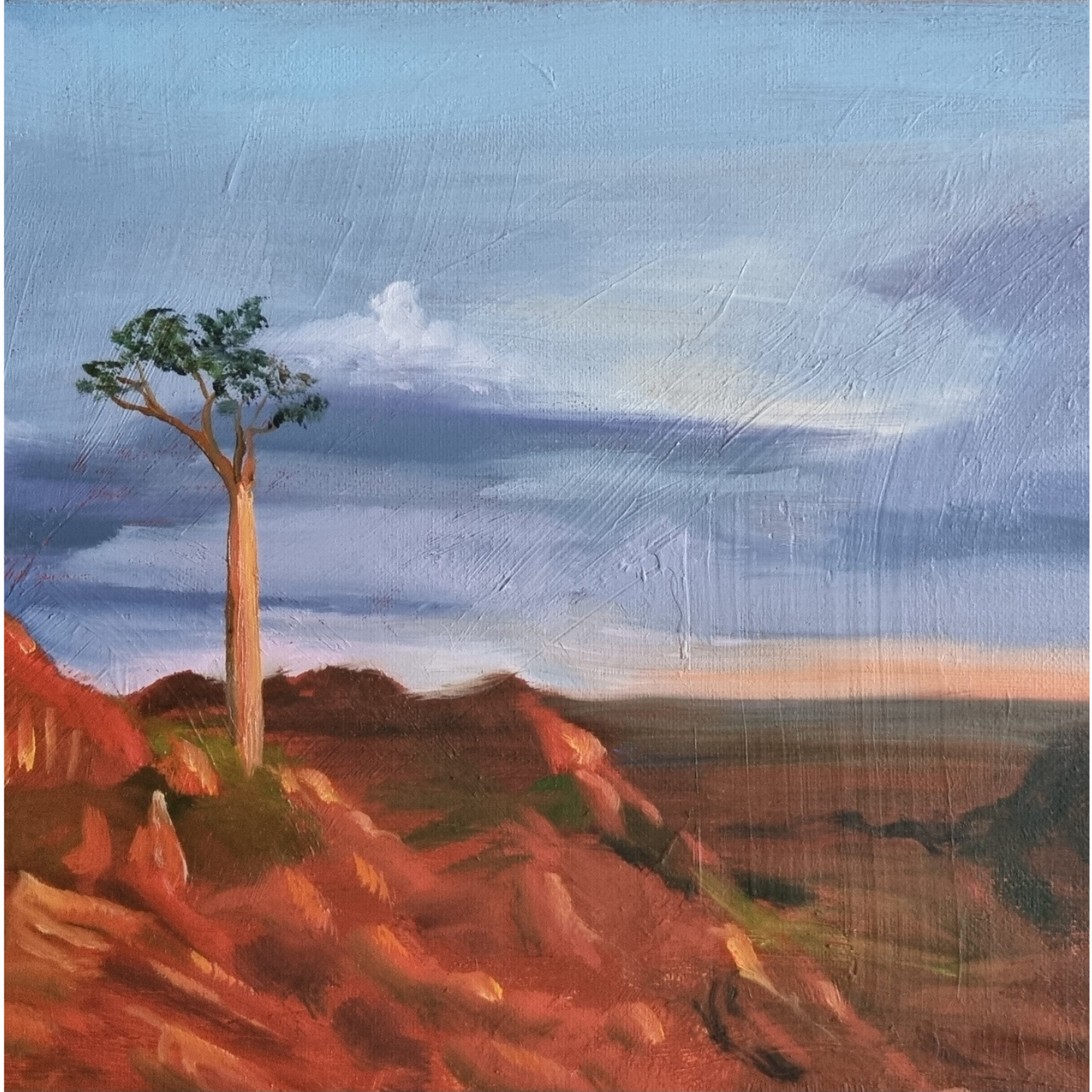 Lonely Boab - Oil on Board - 30cm x 25cm - Private collection.
