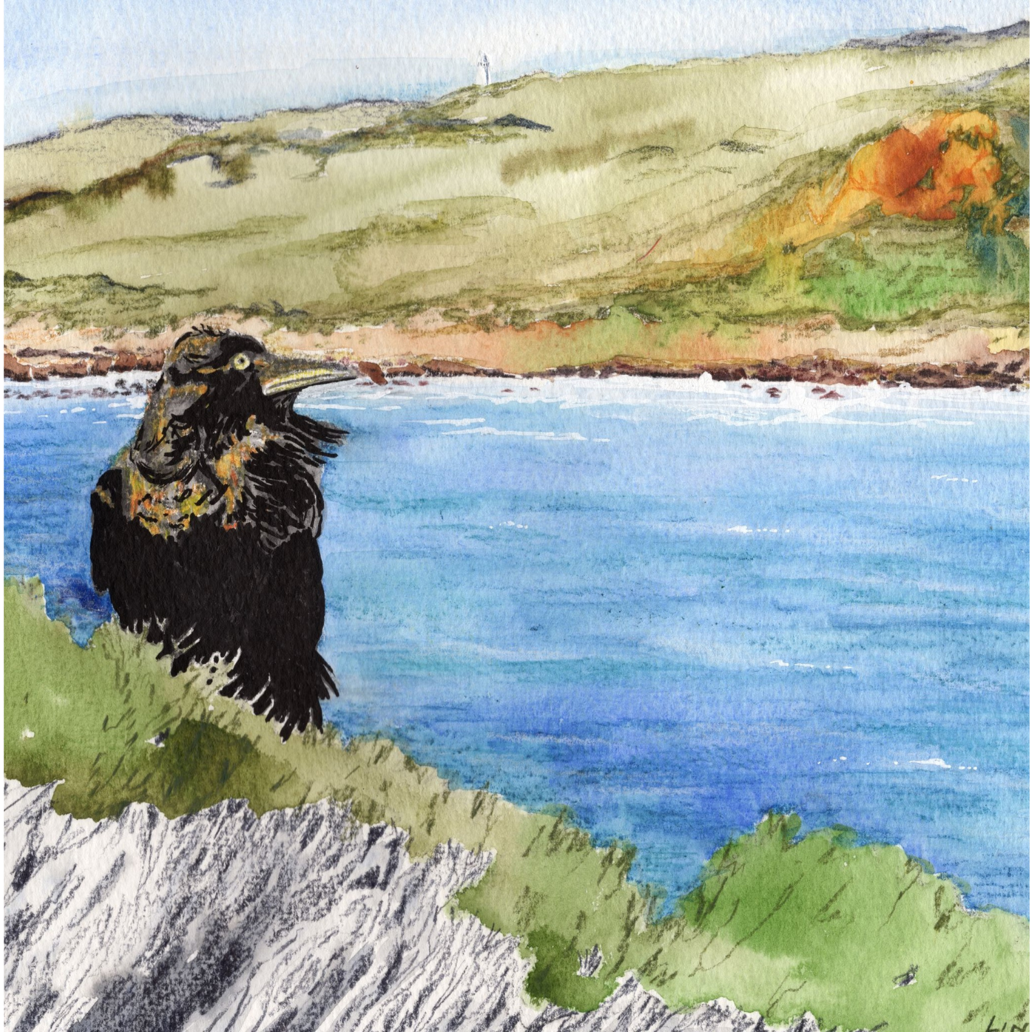 ‘Crow at Sugarloaf’ - Watercolour & Inktense Pencil - 30cm x 21cm - Click image to purchase.