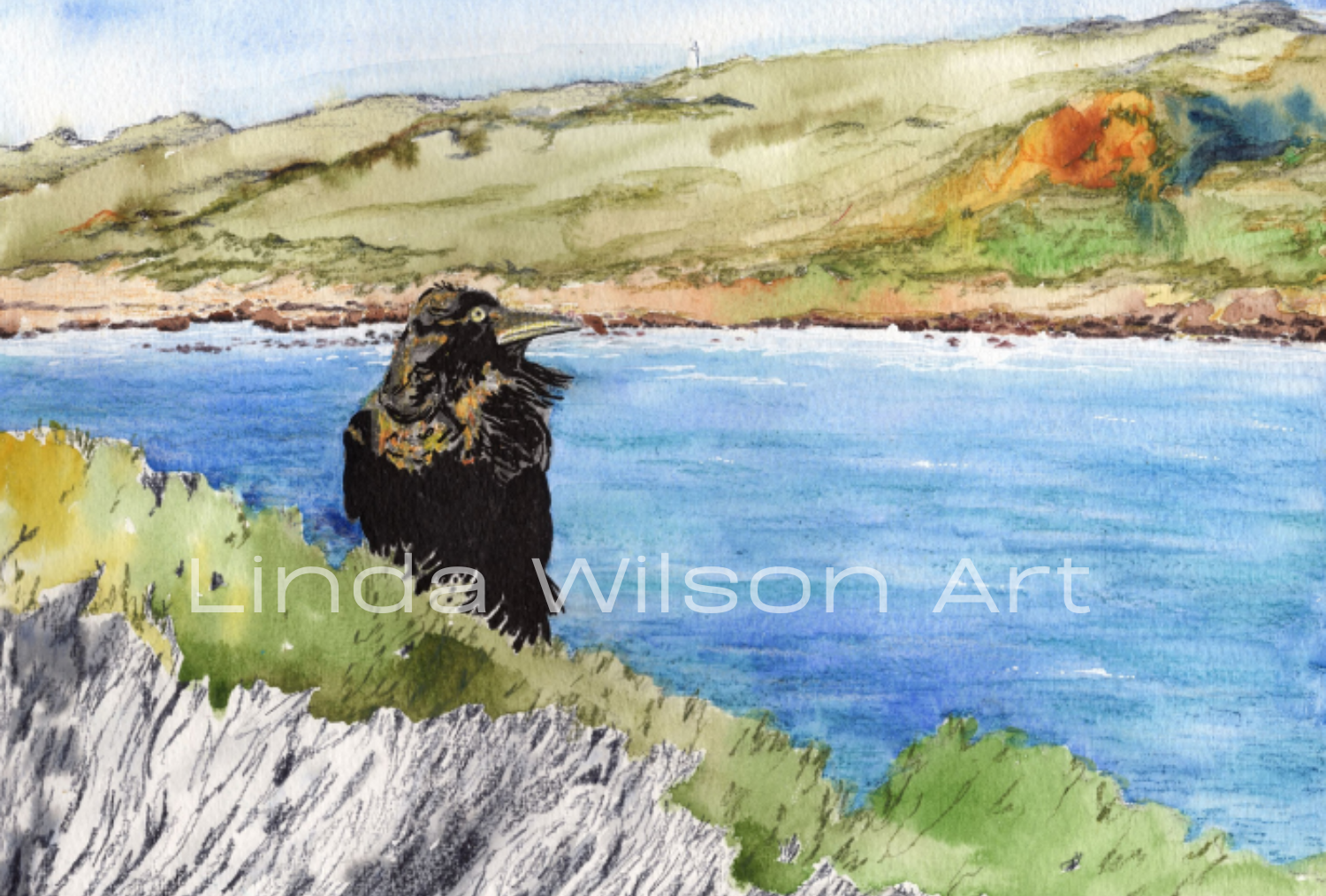 Crow at Sugarloaf Original Artwork