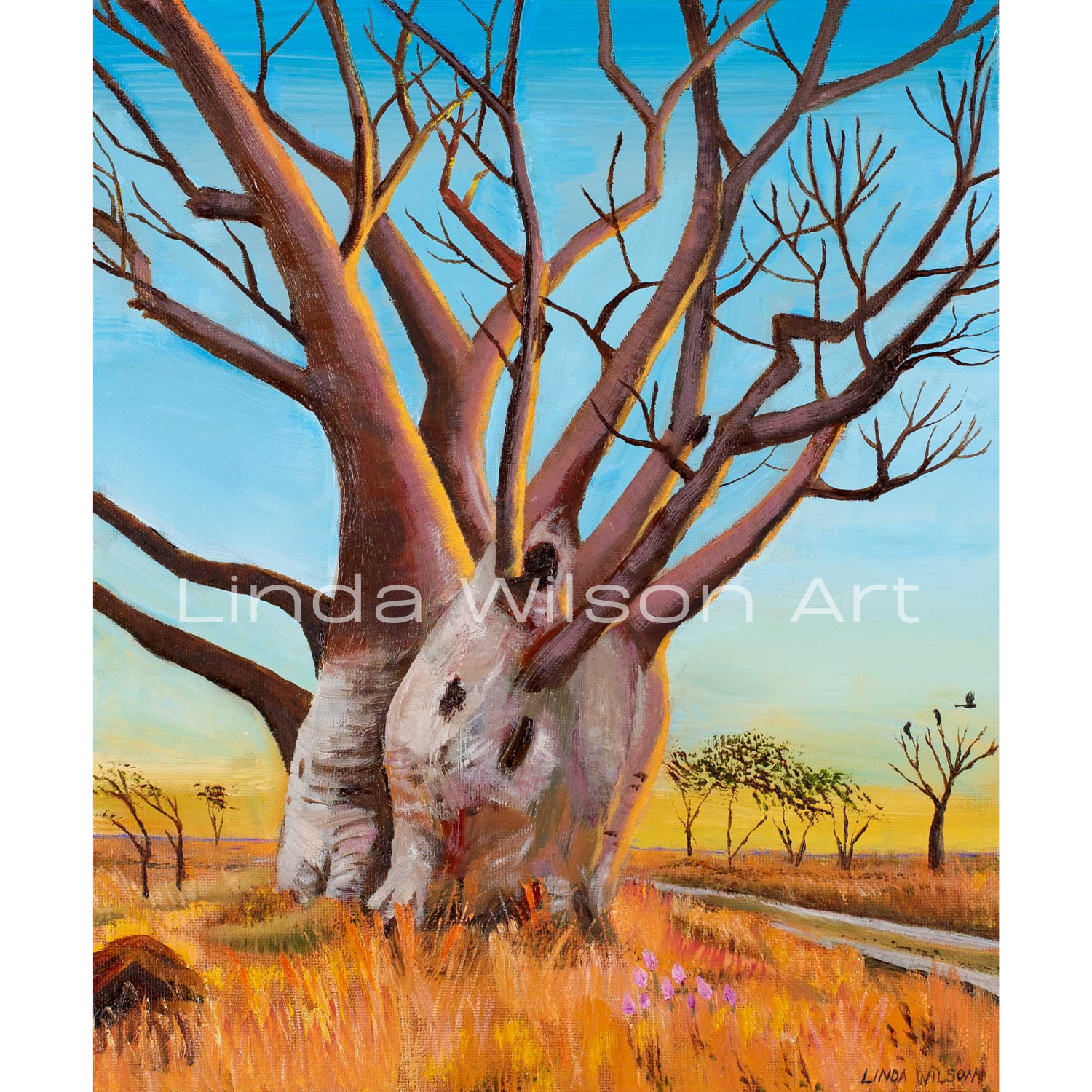 Backtrack Boab - Oil on Canvas - 25cm x 35cm - SOLD