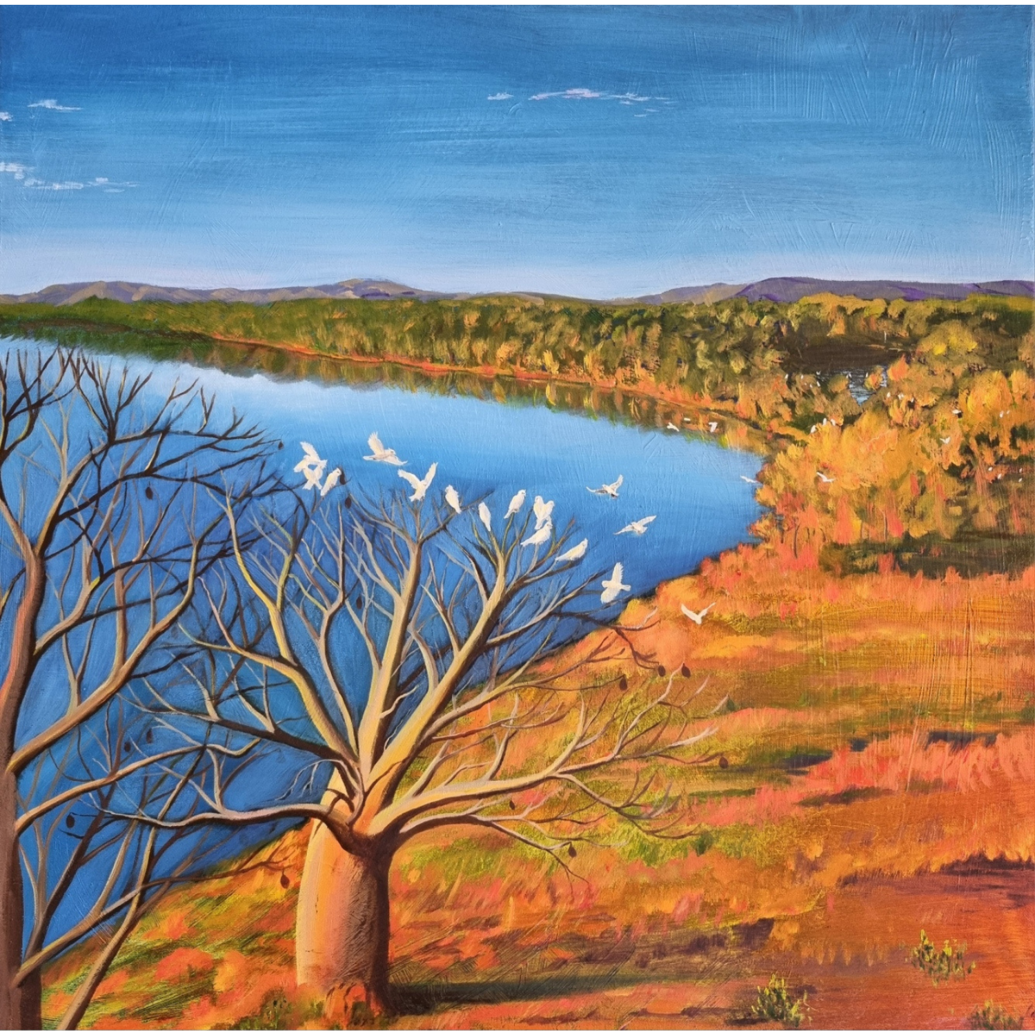 The Kimberley - Oil on Canvas - 60cm x 60cm - Click image to purchase.