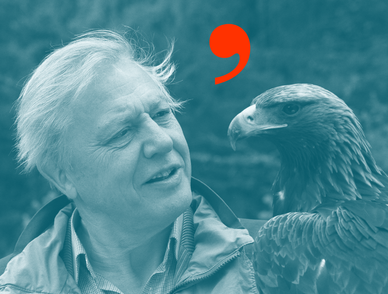 Sorry, You Can’t ‘Sound Like Attenborough’