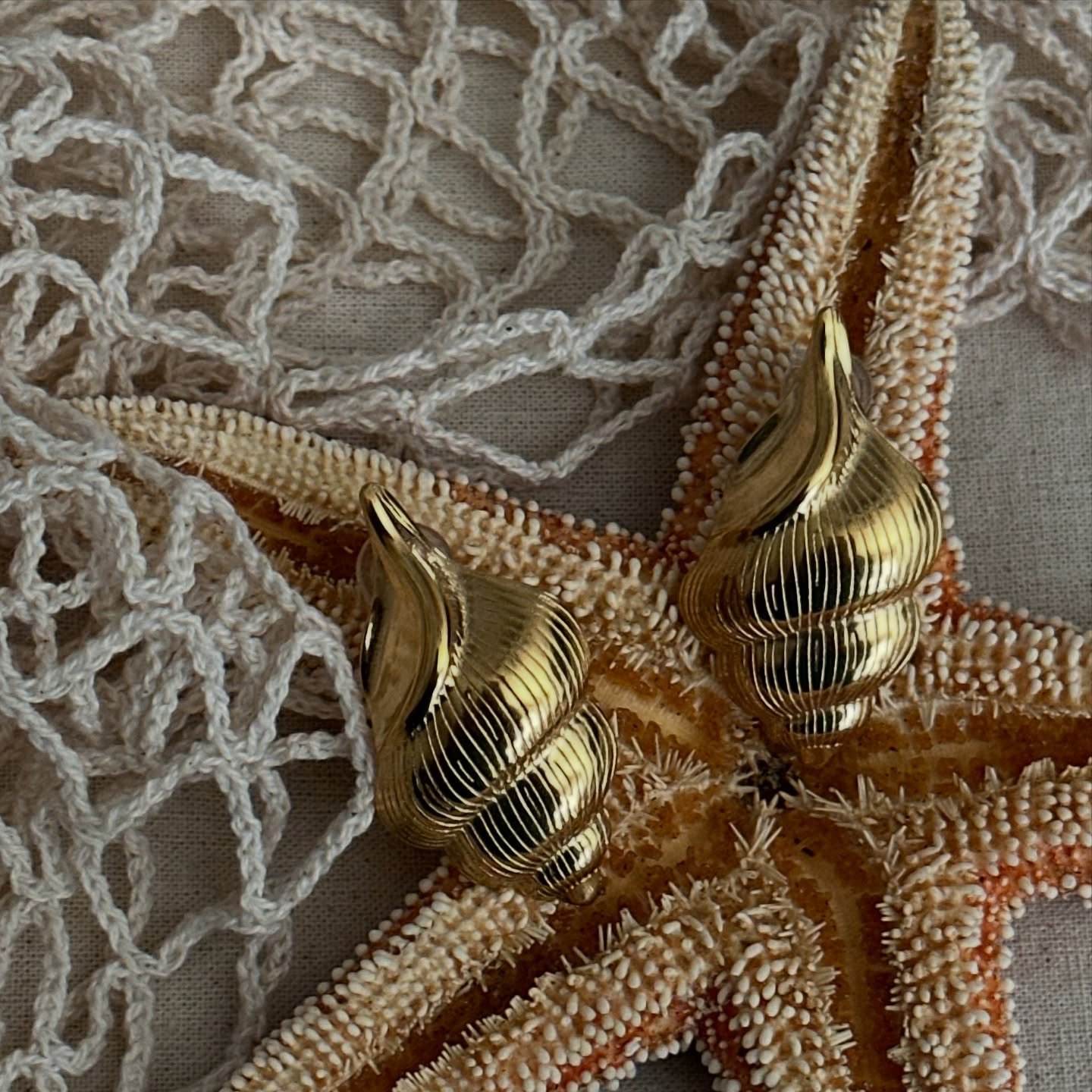 Caught something golden.. and trust me, you should catch these too!✨ 

🐚Mar&eacute; Shell Earrings

shop // foreternityshop.com