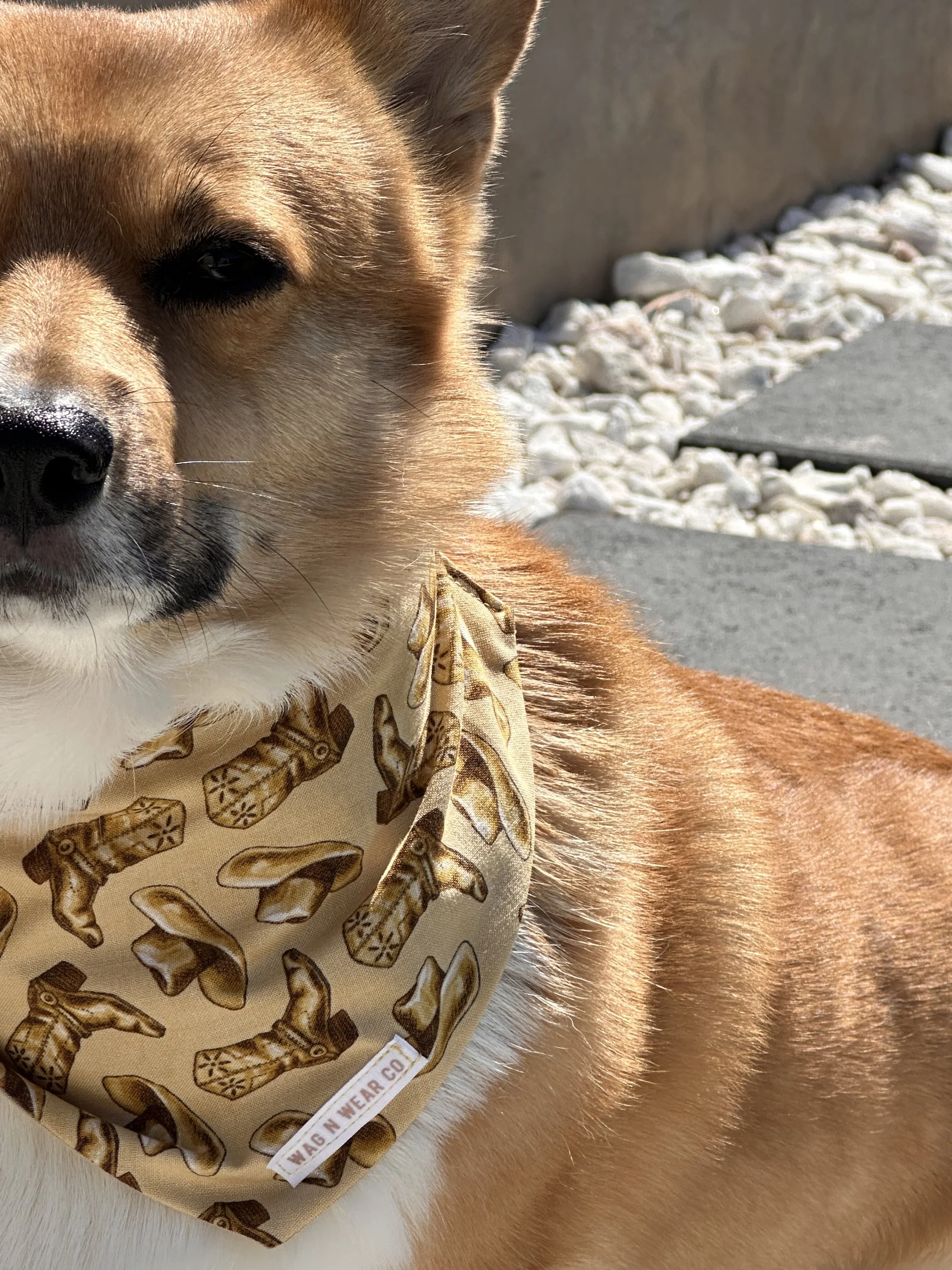 Boot Scootin' Bandana