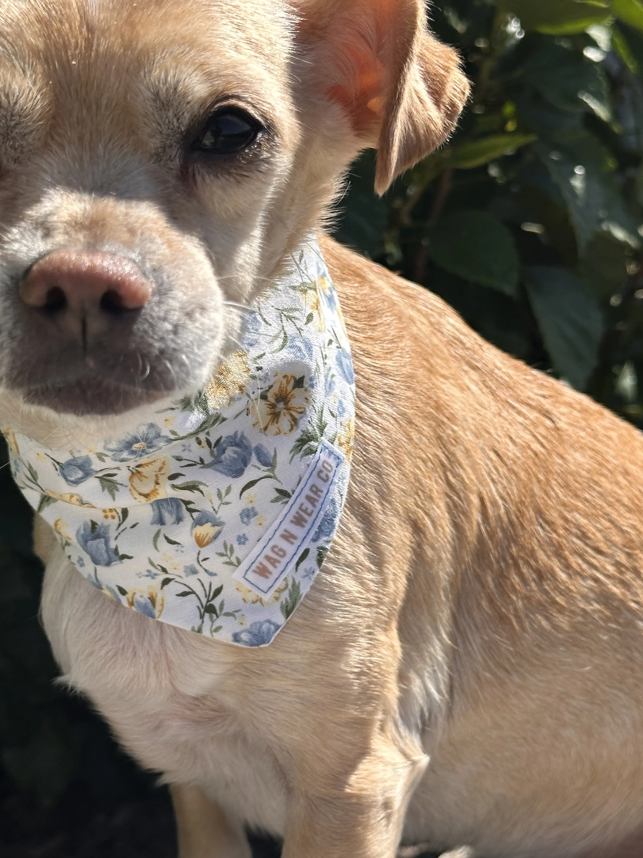 Garden Girl Bandana