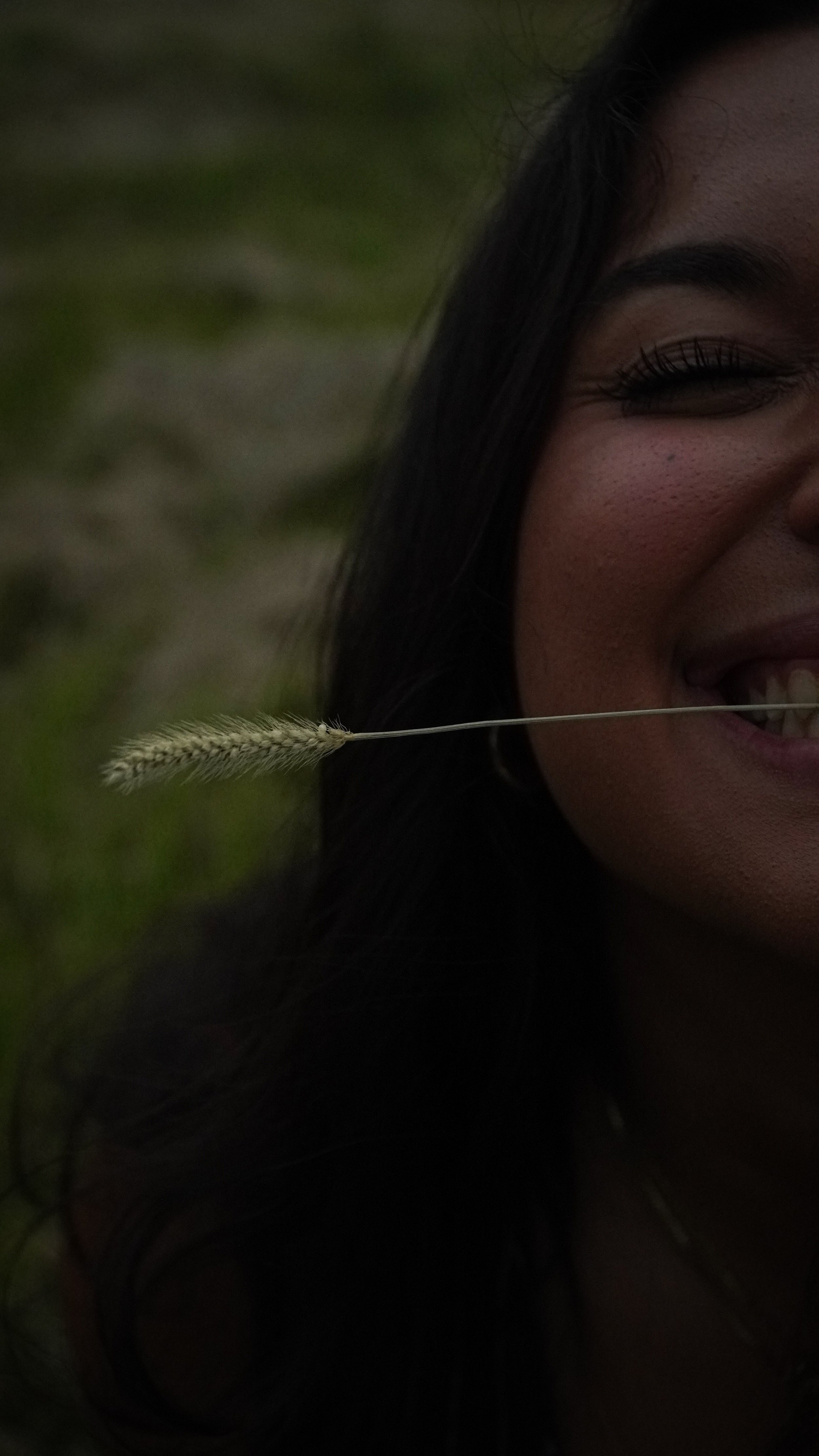 wheat.jpg
